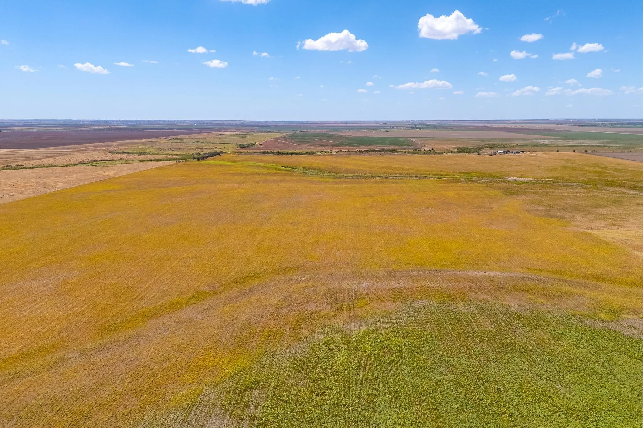 Improved Land For Sale in Jones County , TBD CR 168, Anson, Texas 79501, 0, 0, Garage spaces, 0 Sqft, built in 0, mls#21361866, Real Estate Agent in Anson, Homes For Sale in Jones county, Homes For Sale in Anson, Realtor in Anson Texas, Real Estate Brokerage Independent Realty Texas, Luminita Cordes Realtor
