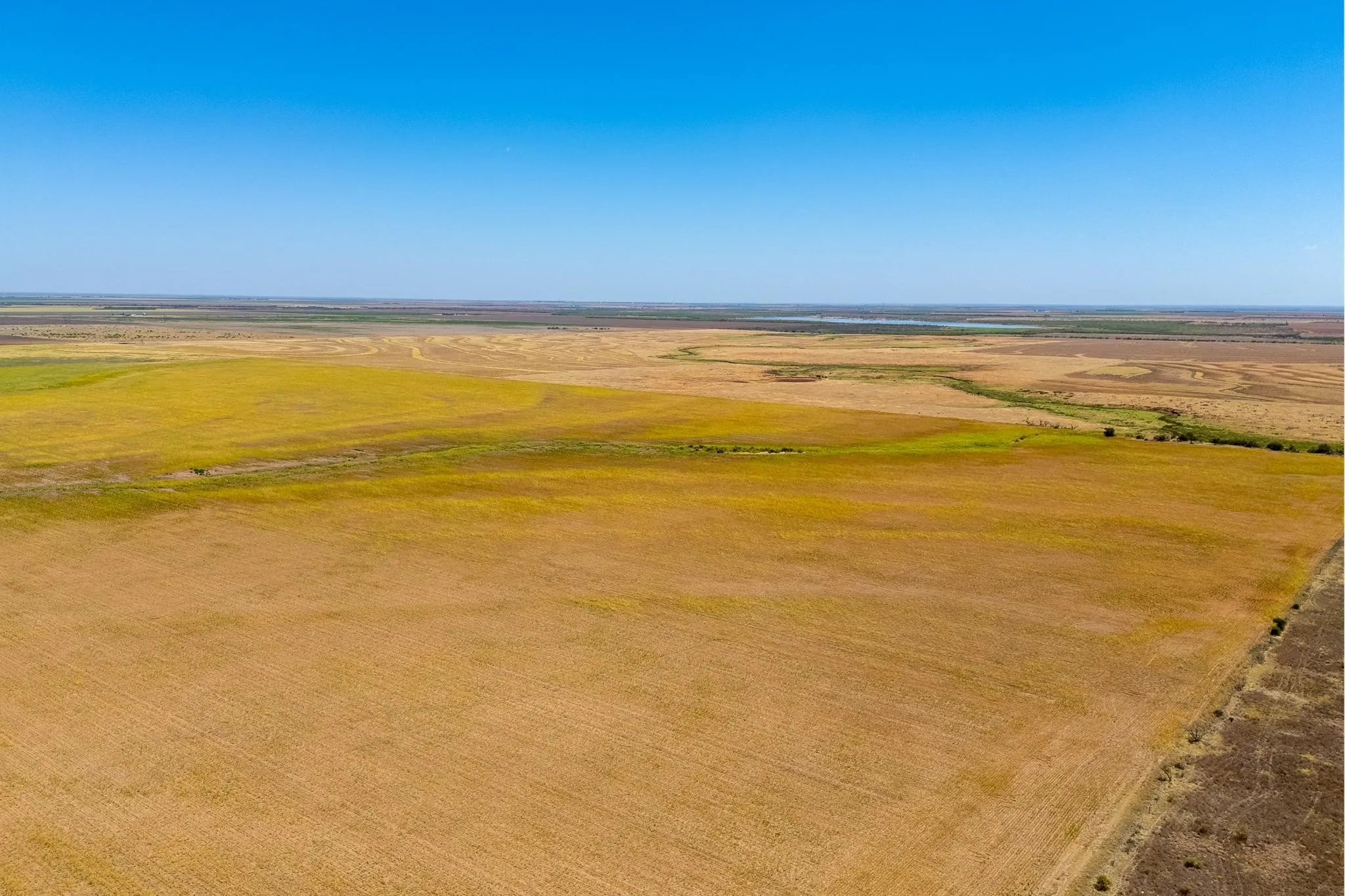 Improved Land For Sale in Jones County , TBD CR 168, Anson, Texas 79501, 0, 0, Garage spaces, 0 Sqft, built in 0, mls#21361866, Real Estate Agent in Anson, Homes For Sale in Jones county, Homes For Sale in Anson, Realtor in Anson Texas, Real Estate Brokerage Independent Realty Texas, Luminita Cordes Realtor