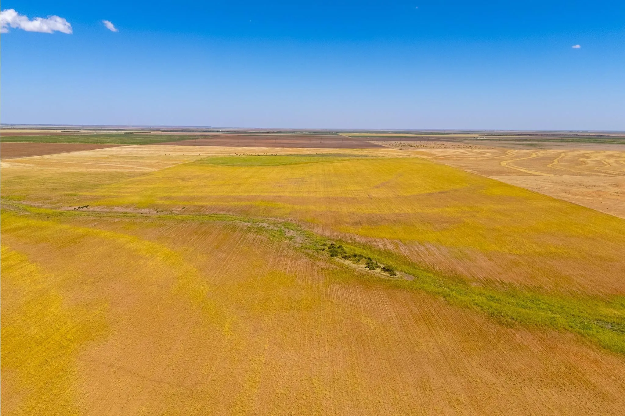 Improved Land For Sale in Jones County , TBD CR 168, Anson, Texas 79501, 0, 0, Garage spaces, 0 Sqft, built in 0, mls#21361866, Real Estate Agent in Anson, Homes For Sale in Jones county, Homes For Sale in Anson, Realtor in Anson Texas, Real Estate Brokerage Independent Realty Texas, Luminita Cordes Realtor