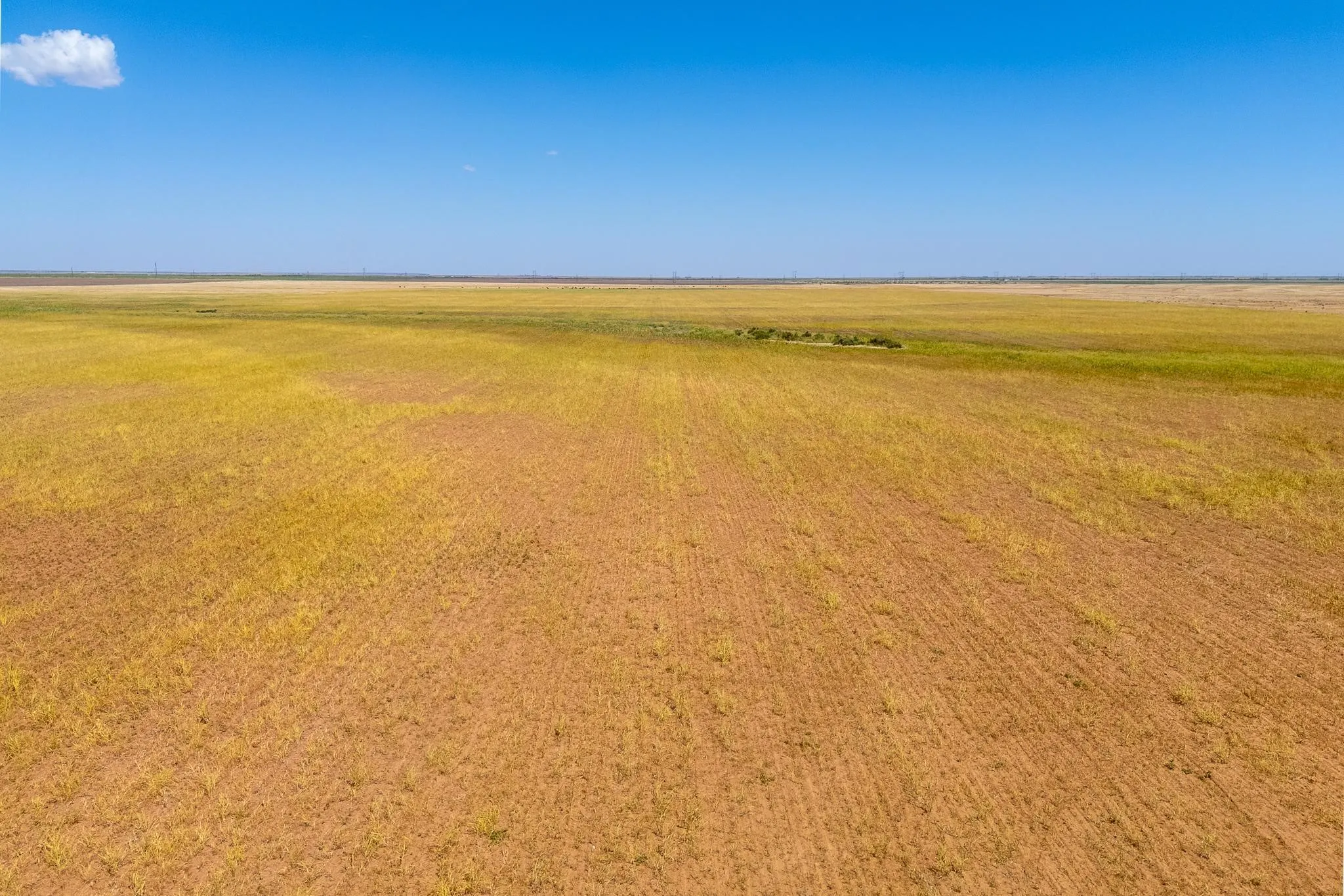 Improved Land For Sale in Jones County , TBD CR 168, Anson, Texas 79501, 0, 0, Garage spaces, 0 Sqft, built in 0, mls#21361866, Real Estate Agent in Anson, Homes For Sale in Jones county, Homes For Sale in Anson, Realtor in Anson Texas, Real Estate Brokerage Independent Realty Texas, Luminita Cordes Realtor