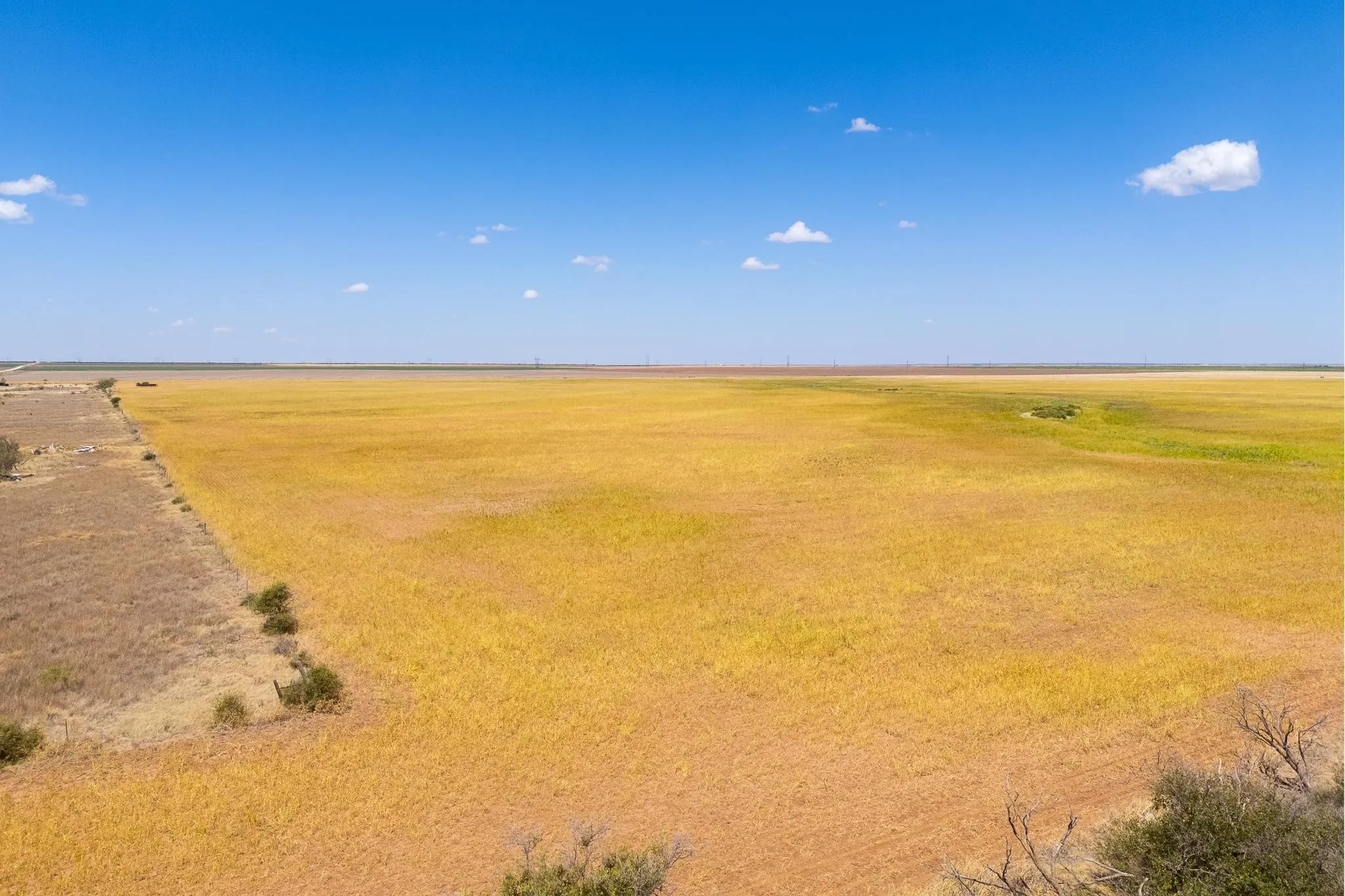 Improved Land For Sale in Jones County , TBD CR 168, Anson, Texas 79501, 0, 0, Garage spaces, 0 Sqft, built in 0, mls#21361866, Real Estate Agent in Anson, Homes For Sale in Jones county, Homes For Sale in Anson, Realtor in Anson Texas, Real Estate Brokerage Independent Realty Texas, Luminita Cordes Realtor