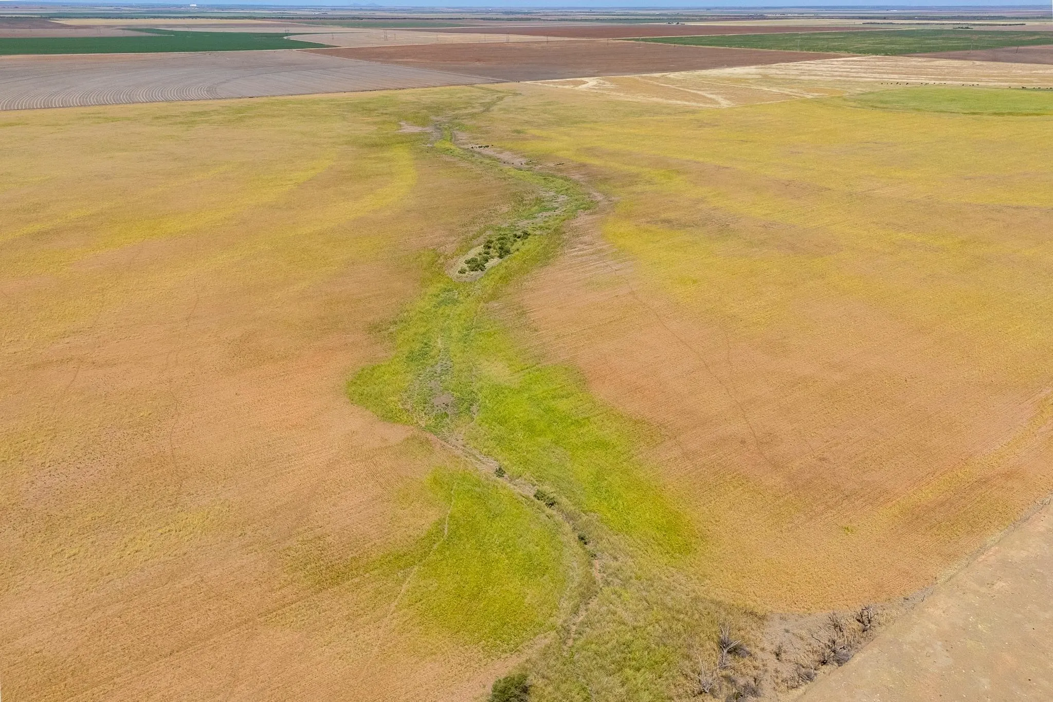 Improved Land For Sale in Jones County , TBD CR 168, Anson, Texas 79501, 0, 0, Garage spaces, 0 Sqft, built in 0, mls#21361866, Real Estate Agent in Anson, Homes For Sale in Jones county, Homes For Sale in Anson, Realtor in Anson Texas, Real Estate Brokerage Independent Realty Texas, Luminita Cordes Realtor