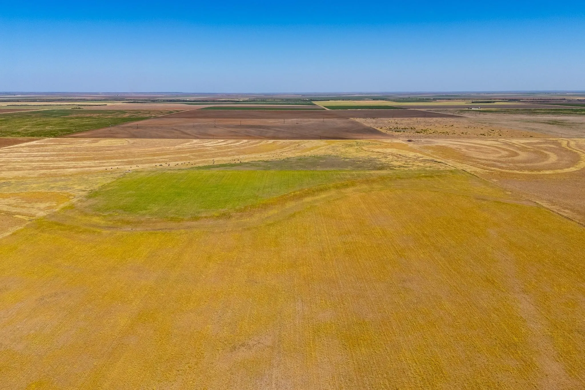 Improved Land For Sale in Jones County , TBD CR 168, Anson, Texas 79501, 0, 0, Garage spaces, 0 Sqft, built in 0, mls#21361866, Real Estate Agent in Anson, Homes For Sale in Jones county, Homes For Sale in Anson, Realtor in Anson Texas, Real Estate Brokerage Independent Realty Texas, Luminita Cordes Realtor