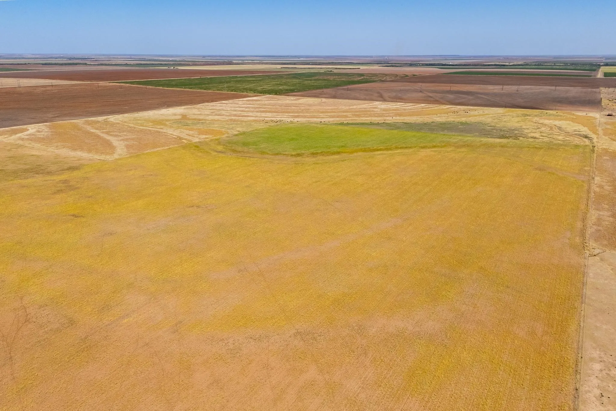 Improved Land For Sale in Jones County , TBD CR 168, Anson, Texas 79501, 0, 0, Garage spaces, 0 Sqft, built in 0, mls#21361866, Real Estate Agent in Anson, Homes For Sale in Jones county, Homes For Sale in Anson, Realtor in Anson Texas, Real Estate Brokerage Independent Realty Texas, Luminita Cordes Realtor