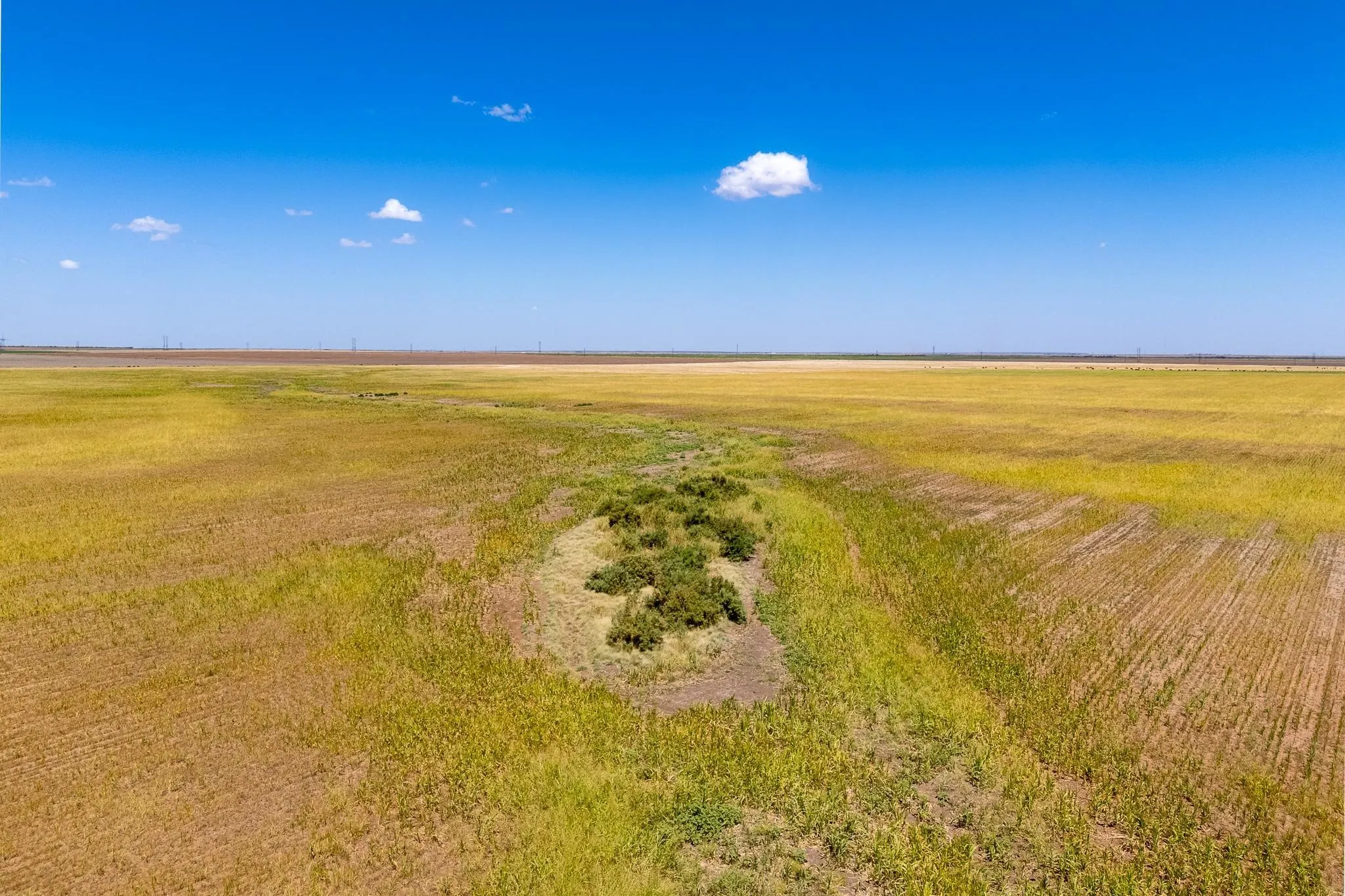 Improved Land For Sale in Jones County , TBD CR 168, Anson, Texas 79501, 0, 0, Garage spaces, 0 Sqft, built in 0, mls#21361866, Real Estate Agent in Anson, Homes For Sale in Jones county, Homes For Sale in Anson, Realtor in Anson Texas, Real Estate Brokerage Independent Realty Texas, Luminita Cordes Realtor