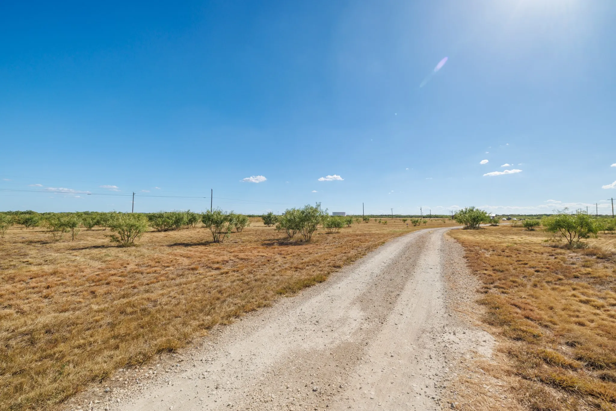 Mobile Home For Sale in Taylor County , 3126 S Fm 707, Tye, Texas 79563, 4 Bedroom, 2 Bathroom, Garage spaces, 1,568 Sqft, built in 1998, mls#21362235, Real Estate Agent in Tye, Homes For Sale in Taylor county, Homes For Sale in Tye, Realtor in Tye Texas, Real Estate Brokerage Independent Realty Texas, Luminita Cordes Realtor
