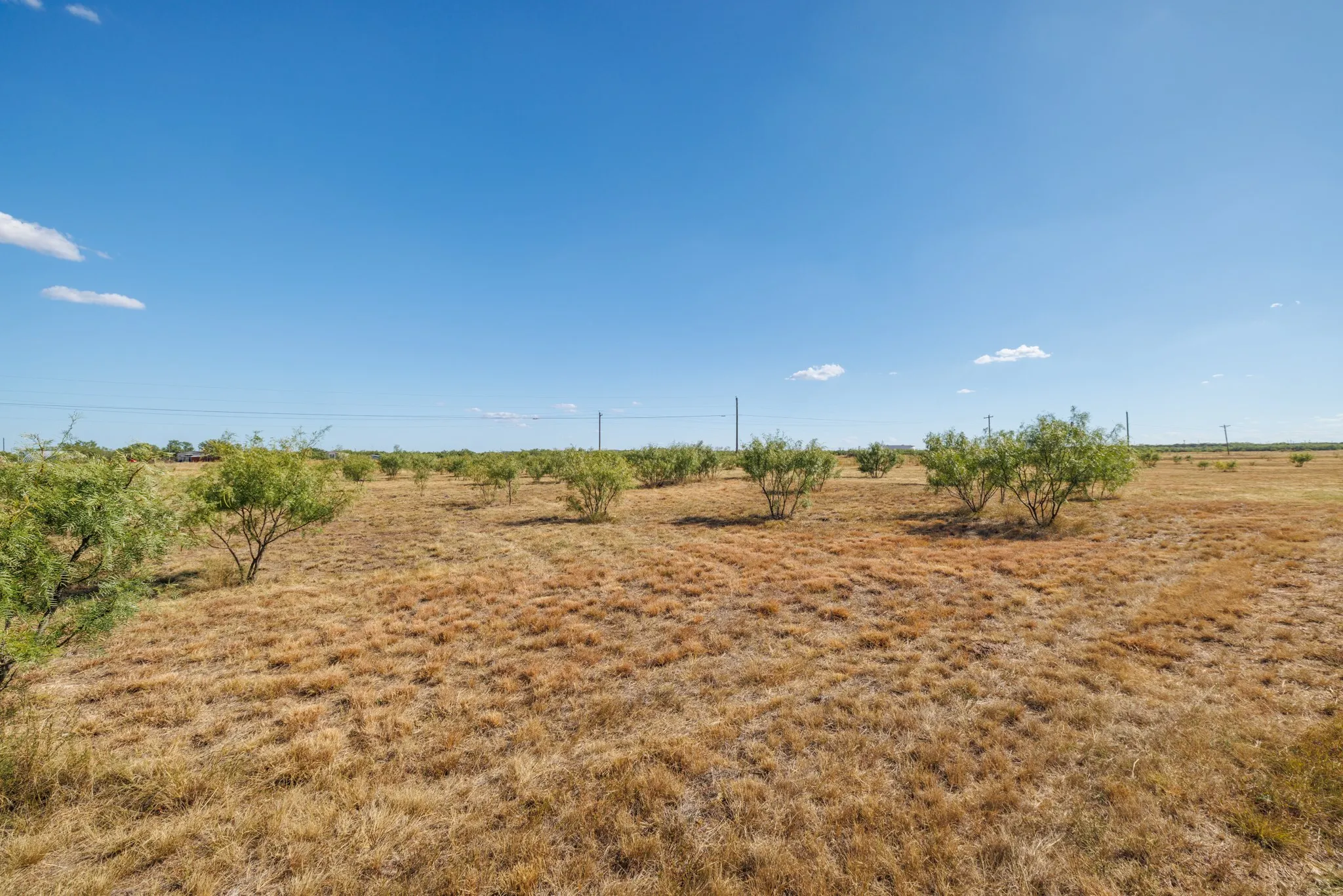 Mobile Home For Sale in Taylor County , 3126 S Fm 707, Tye, Texas 79563, 4 Bedroom, 2 Bathroom, Garage spaces, 1,568 Sqft, built in 1998, mls#21362235, Real Estate Agent in Tye, Homes For Sale in Taylor county, Homes For Sale in Tye, Realtor in Tye Texas, Real Estate Brokerage Independent Realty Texas, Luminita Cordes Realtor