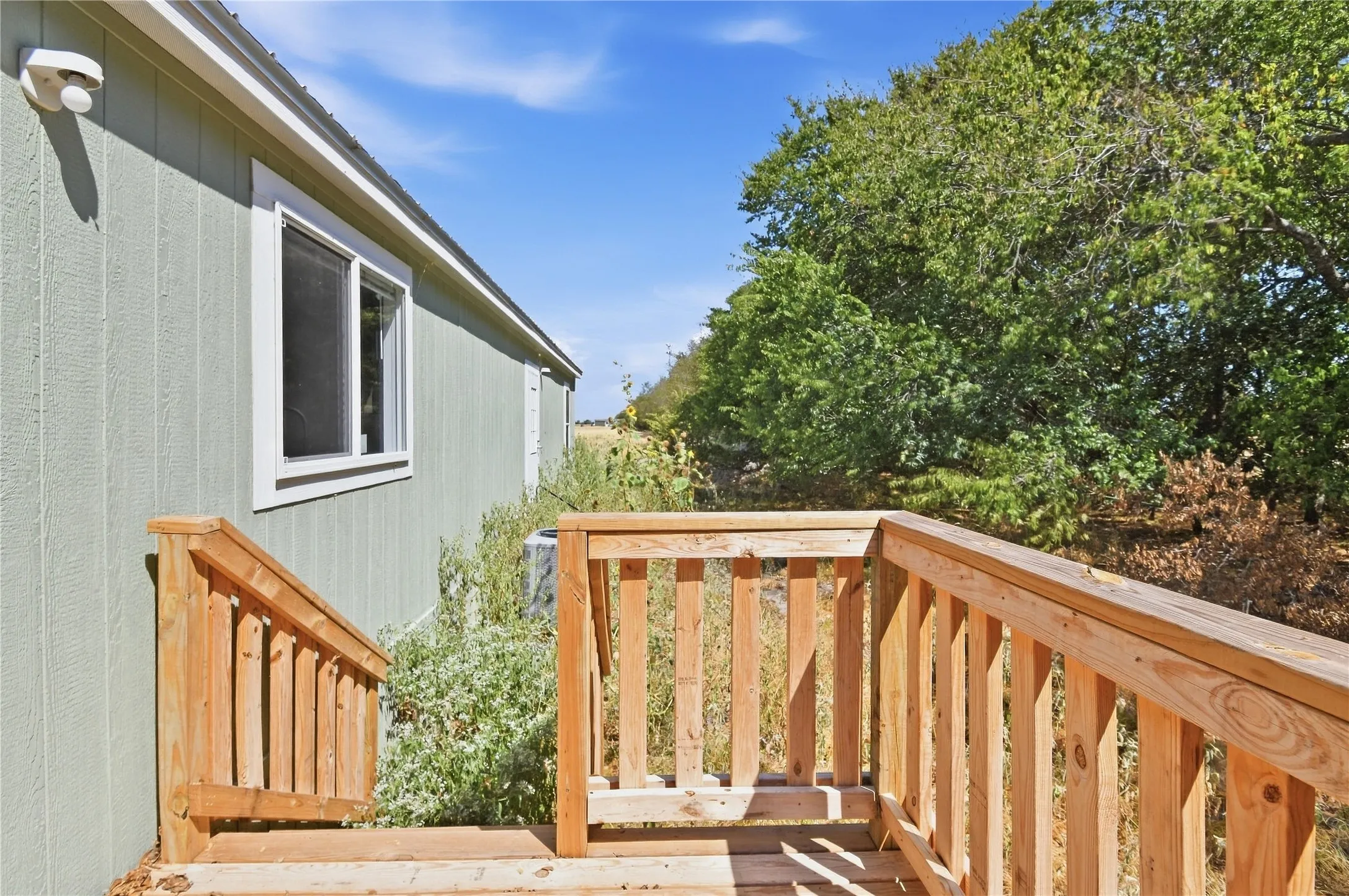 Back deck