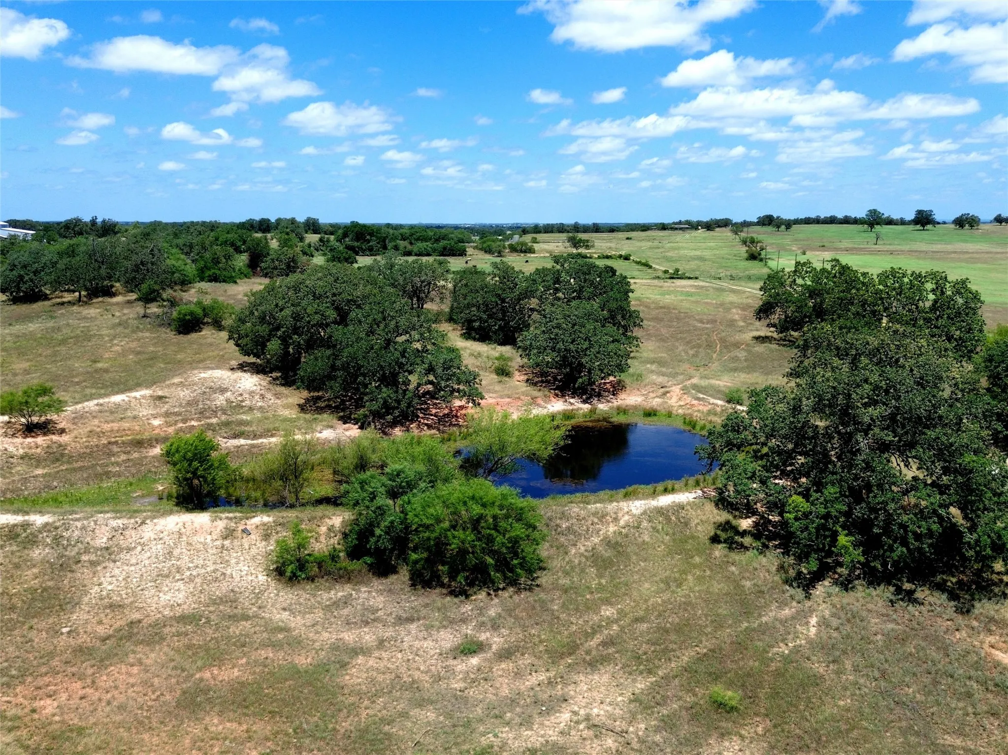 Natural terrain featuring an established pond, mature trees, and expansive grassy areas