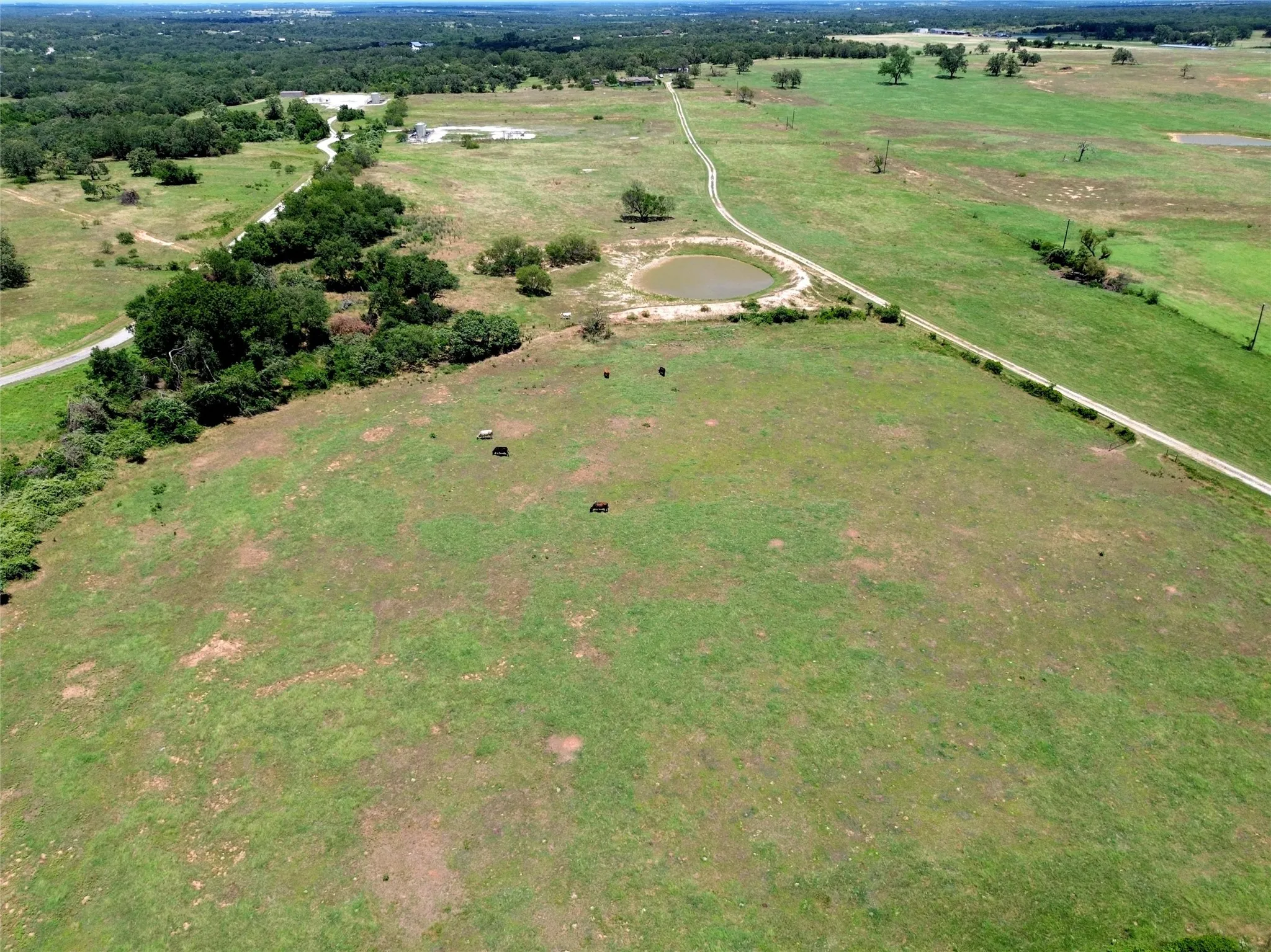 Expansive green acreage featuring a winding dirt road, natural pond, and scattered trees