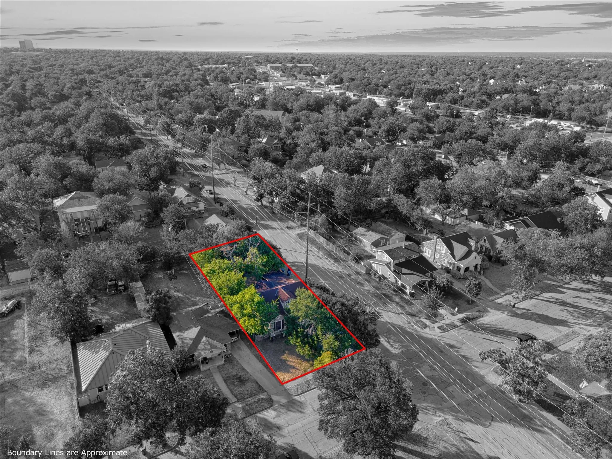 Expansive lot featuring mature trees, a residential structure with a gabled roof, and a paved driveway