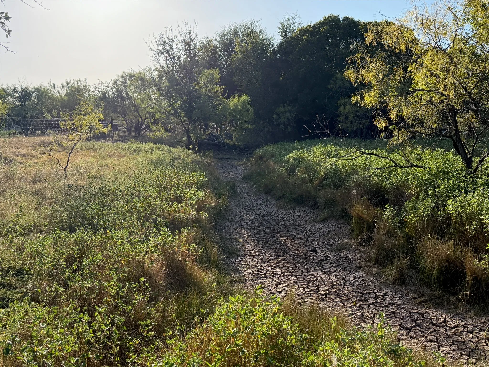 Improved Land For Sale in Brown County , 3930 Crestridge Drive, Brownwood, Texas 76801, 0, 0, Garage spaces, 0 Sqft, built in 0, Price $120,000, mls#21362696, Real Estate Agent in Brownwood, Homes For Sale in Brown county, Homes For Sale in Brownwood, Realtor in Brownwood Texas, Real Estate Brokerage Independent Realty Texas, Luminita Cordes Realtor
