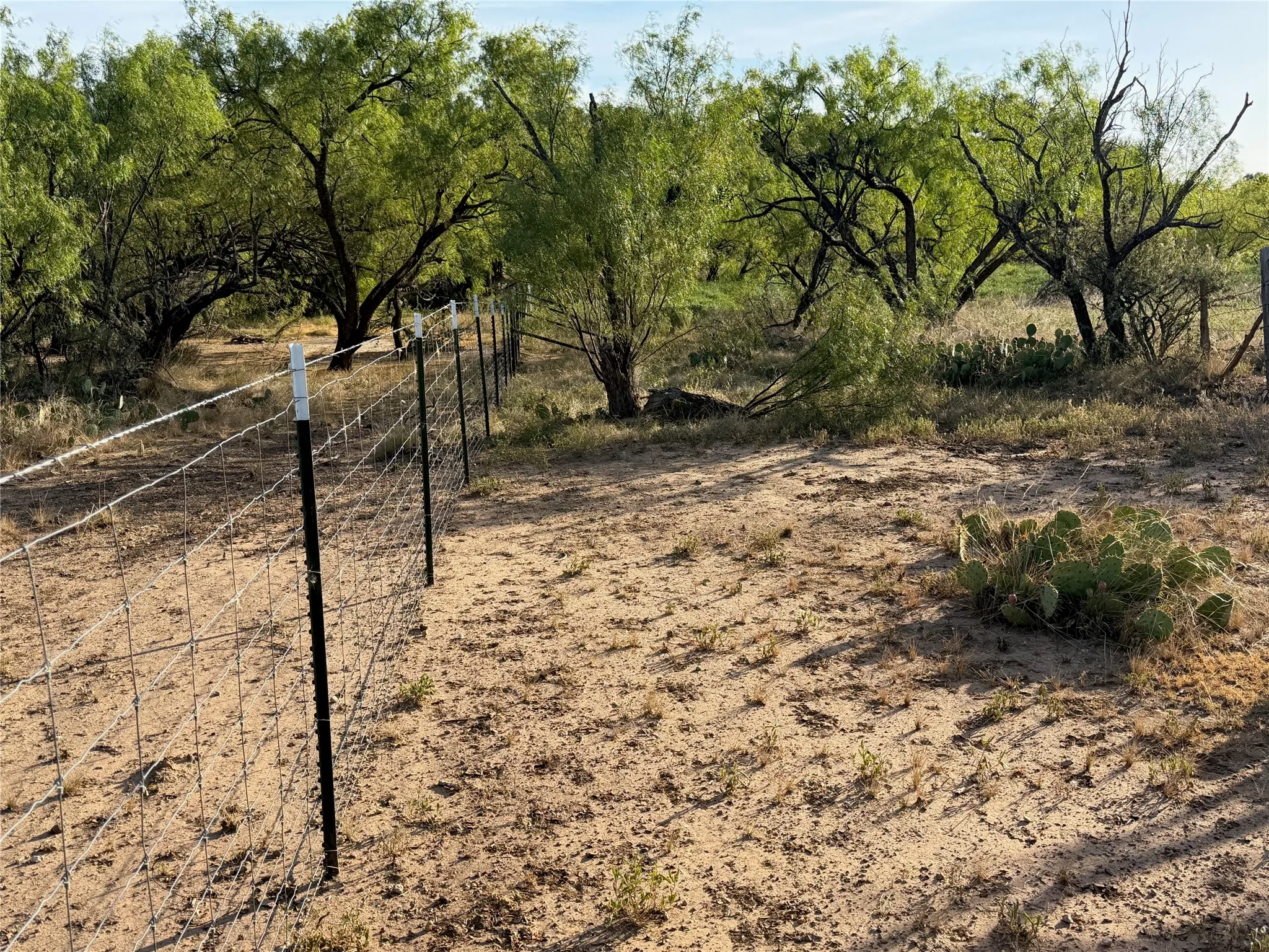Improved Land For Sale in Brown County , 3930 Crestridge Drive, Brownwood, Texas 76801, 0, 0, Garage spaces, 0 Sqft, built in 0, Price $120,000, mls#21362696, Real Estate Agent in Brownwood, Homes For Sale in Brown county, Homes For Sale in Brownwood, Realtor in Brownwood Texas, Real Estate Brokerage Independent Realty Texas, Luminita Cordes Realtor