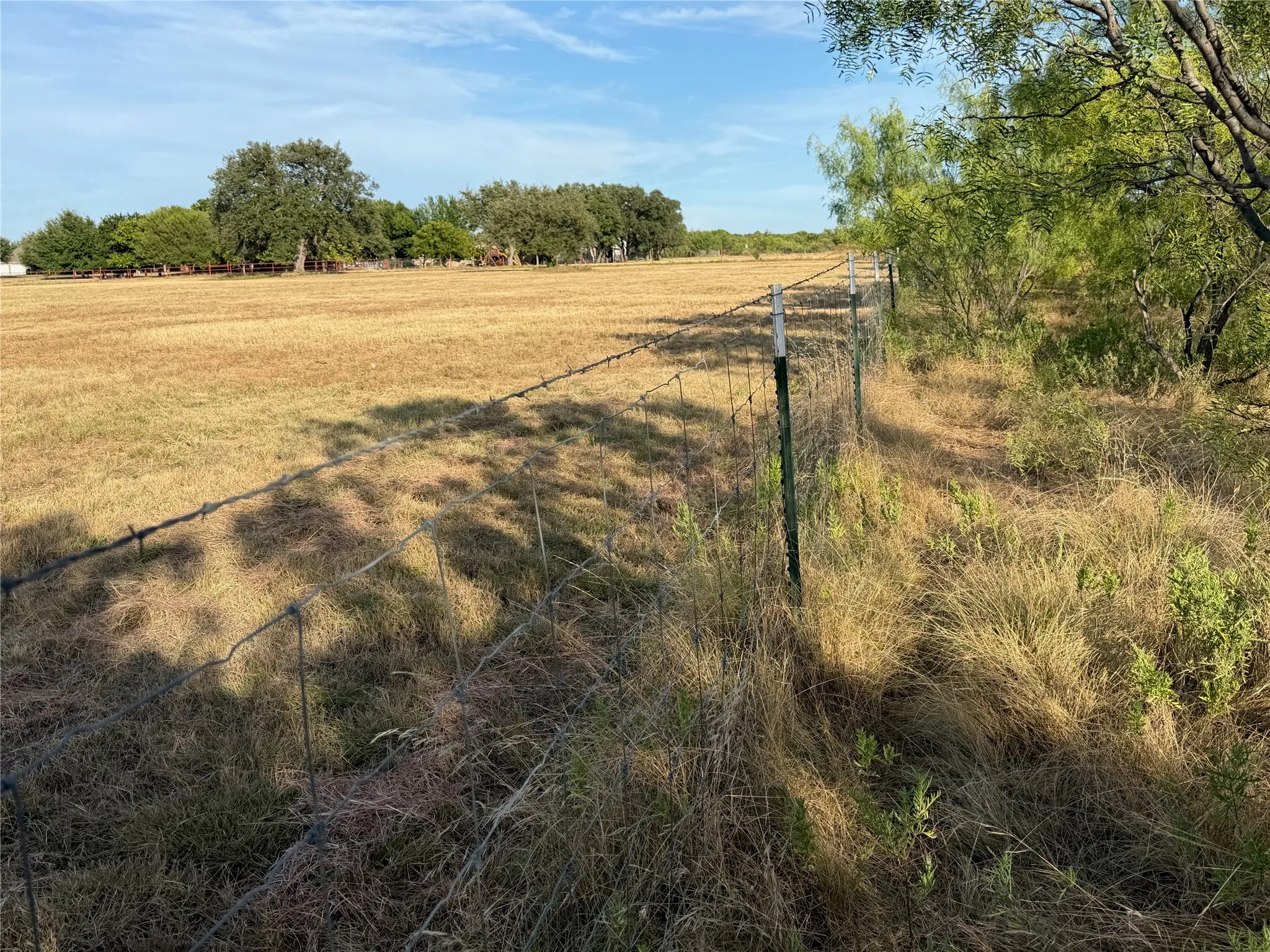 Expansive open field bordered by a wire fence and natural vegetation