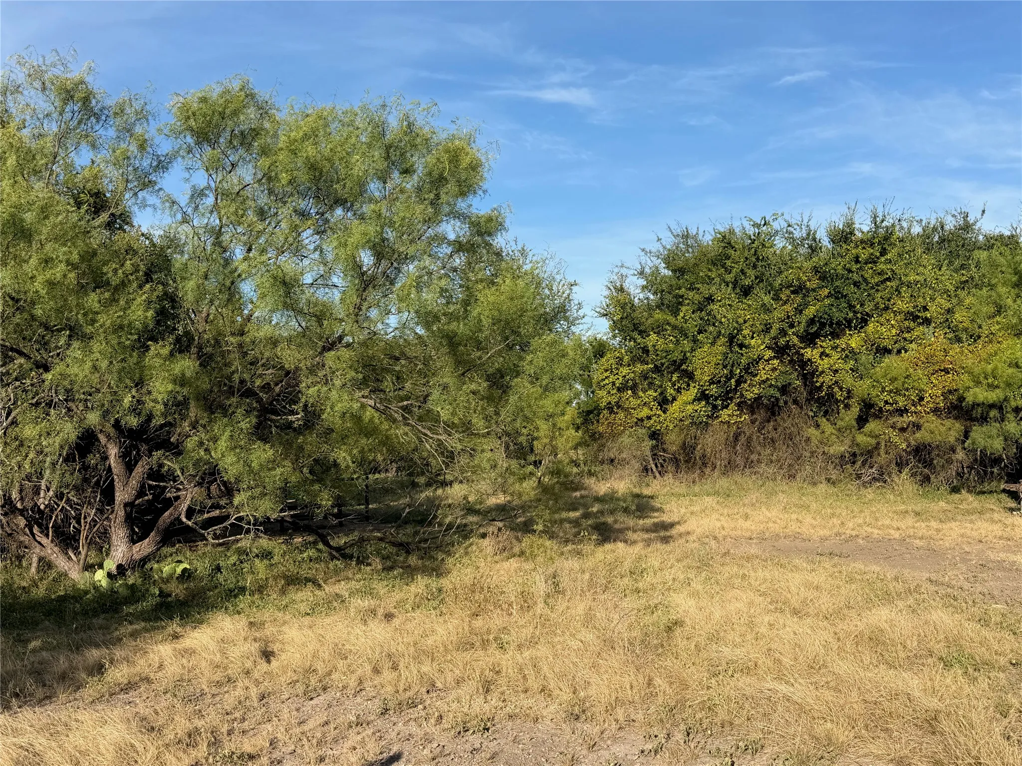 Expansive natural landscaping with mature trees and native vegetation