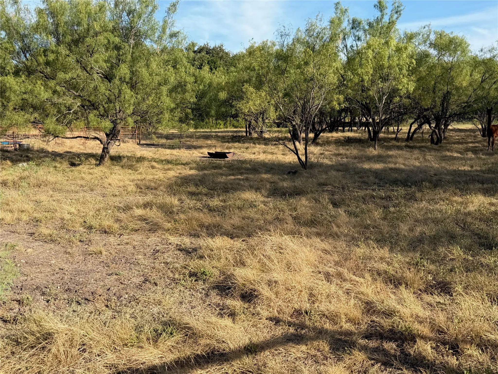 Expansive outdoor space featuring mature trees and dry brush