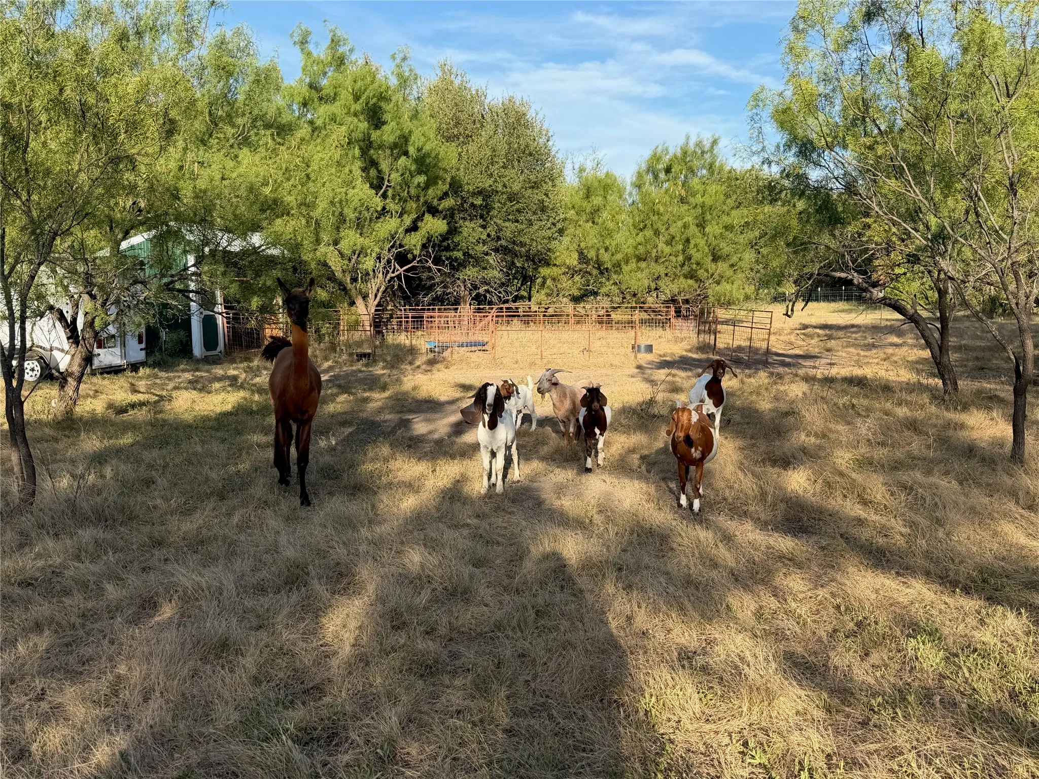 Improved Land For Sale in Brown County , 3930 Crestridge Drive, Brownwood, Texas 76801, 0, 0, Garage spaces, 0 Sqft, built in 0, Price $120,000, mls#21362696, Real Estate Agent in Brownwood, Homes For Sale in Brown county, Homes For Sale in Brownwood, Realtor in Brownwood Texas, Real Estate Brokerage Independent Realty Texas, Luminita Cordes Realtor