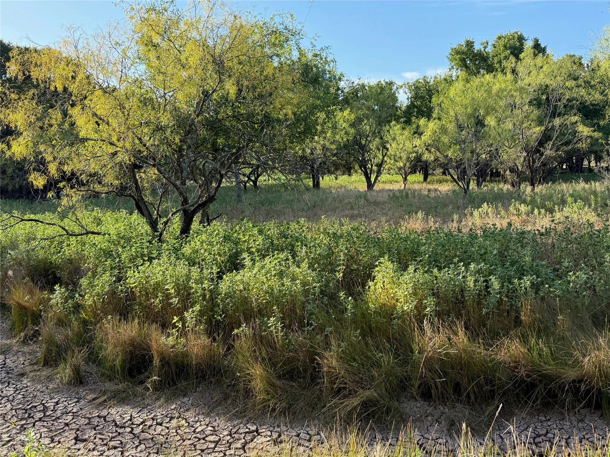 Improved Land For Sale in Brown County , 3930 Crestridge Drive, Brownwood, Texas 76801, 0, 0, Garage spaces, 0 Sqft, built in 0, Price $120,000, mls#21362696, Real Estate Agent in Brownwood, Homes For Sale in Brown county, Homes For Sale in Brownwood, Realtor in Brownwood Texas, Real Estate Brokerage Independent Realty Texas, Luminita Cordes Realtor