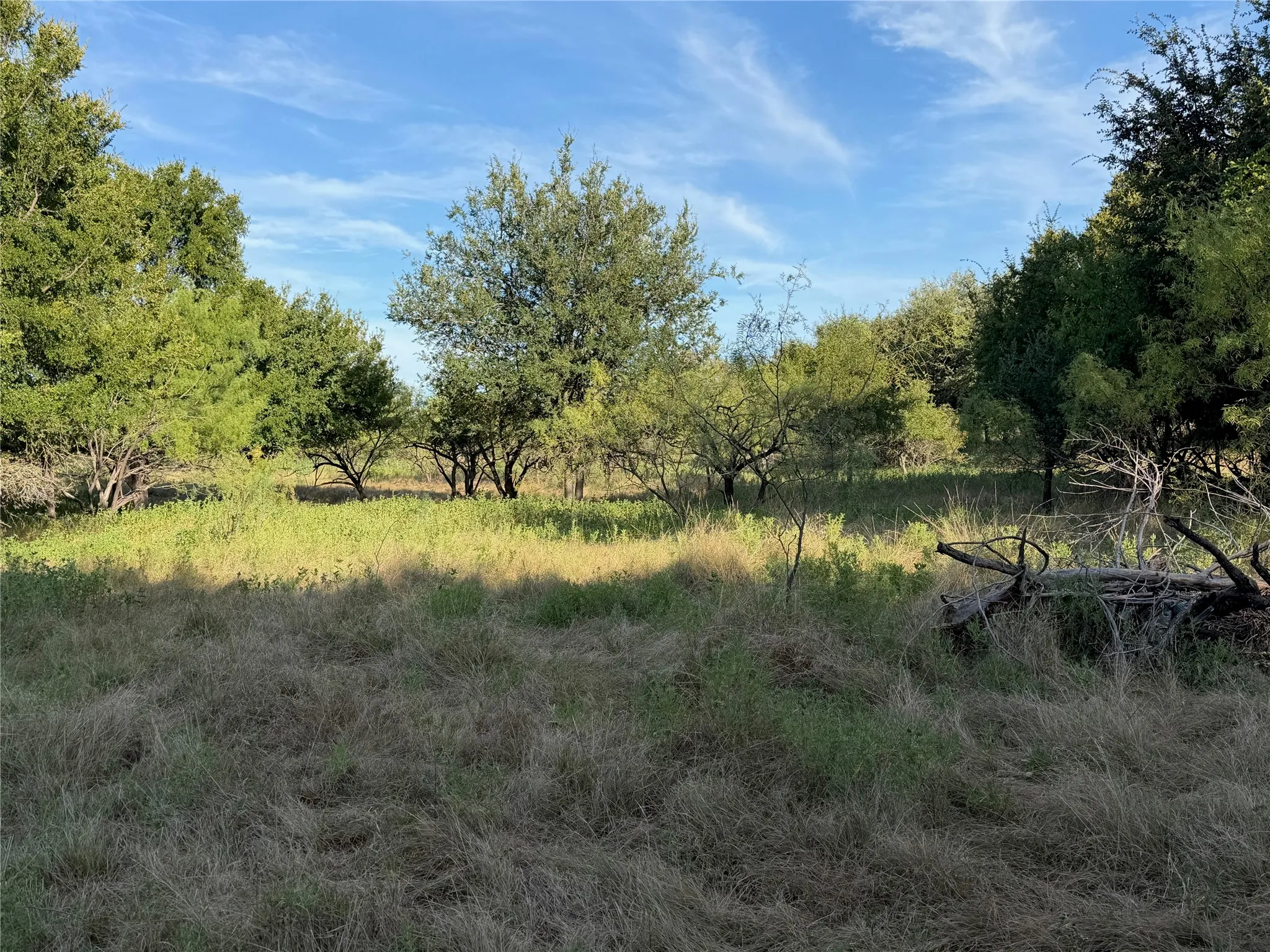Expansive natural landscape featuring varied trees and extensive ground cover
