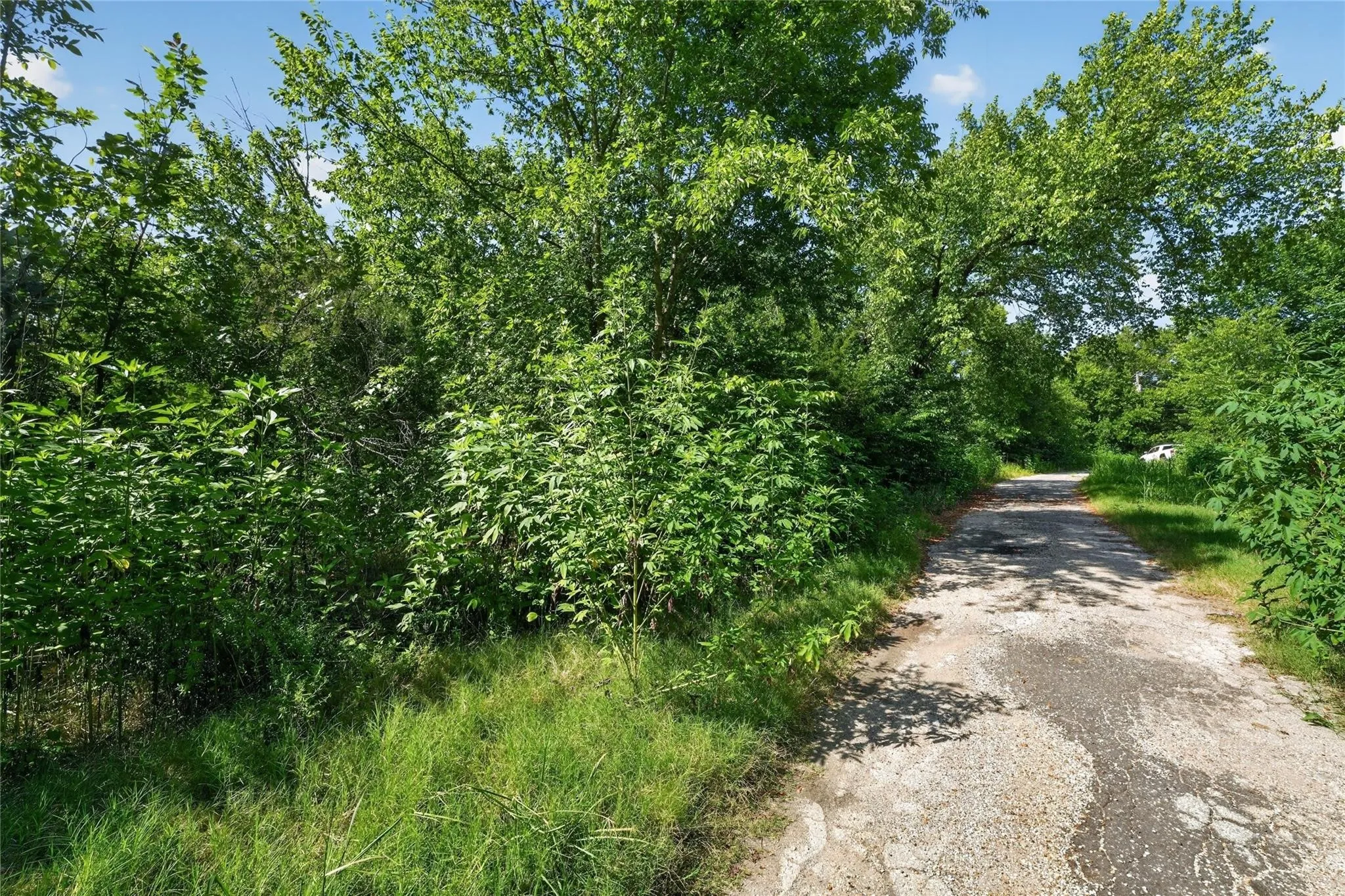 Mature trees, established foliage, and a gravel pathway define the property's natural setting