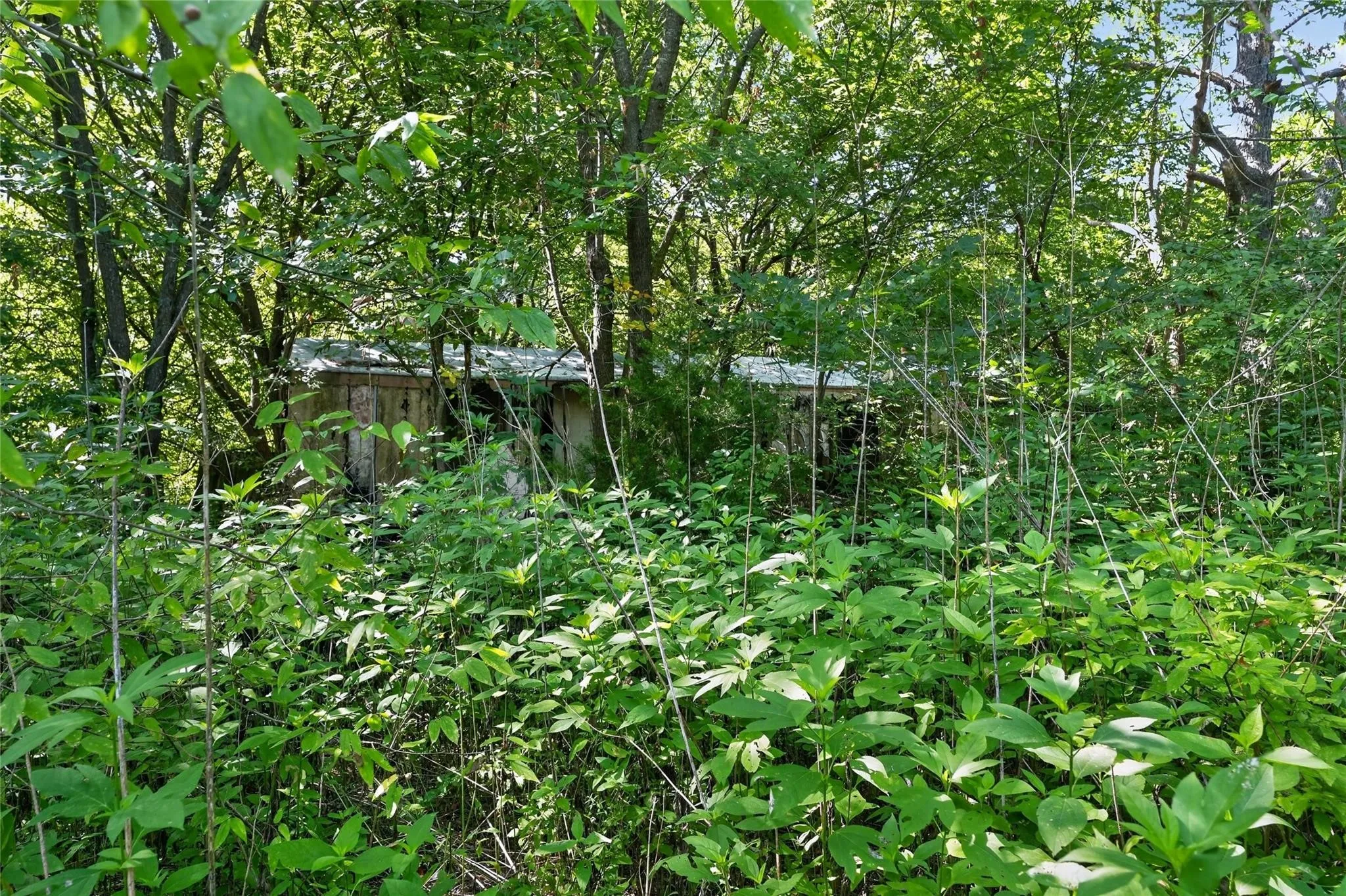 Ranch For Sale in Navarro County , 209 W. 1st Street, Purdon, Texas 76679, 0, 0, Garage spaces, 0 Sqft, built in 1990, mls#21363498, Real Estate Agent in Purdon, Homes For Sale in Navarro county, Homes For Sale in Purdon, Realtor in Purdon Texas, Real Estate Brokerage Independent Realty Texas, Luminita Cordes Realtor