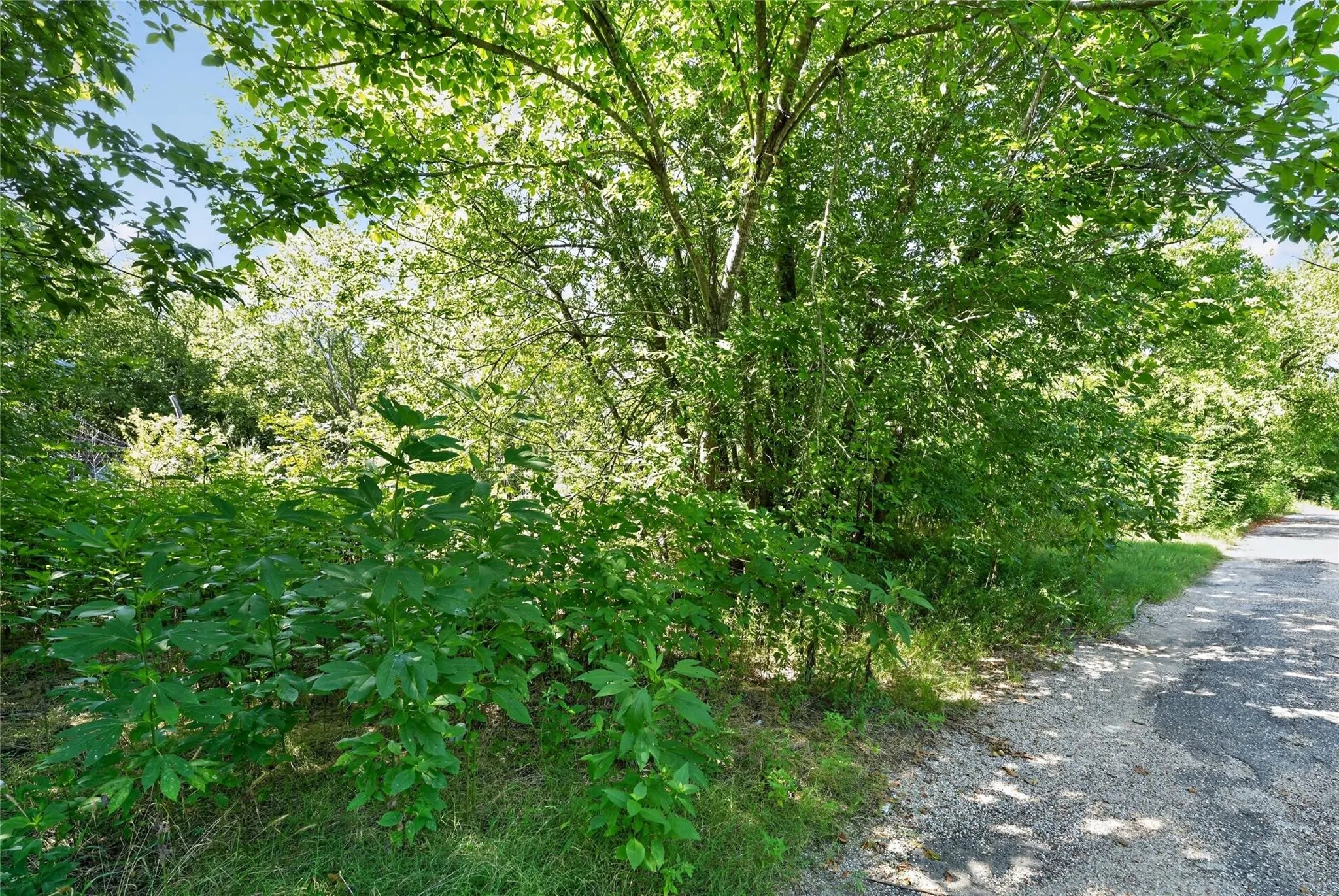 Ranch For Sale in Navarro County , 209 W. 1st Street, Purdon, Texas 76679, 0, 0, Garage spaces, 0 Sqft, built in 1990, mls#21363498, Real Estate Agent in Purdon, Homes For Sale in Navarro county, Homes For Sale in Purdon, Realtor in Purdon Texas, Real Estate Brokerage Independent Realty Texas, Luminita Cordes Realtor