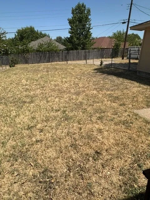 Huge backyard