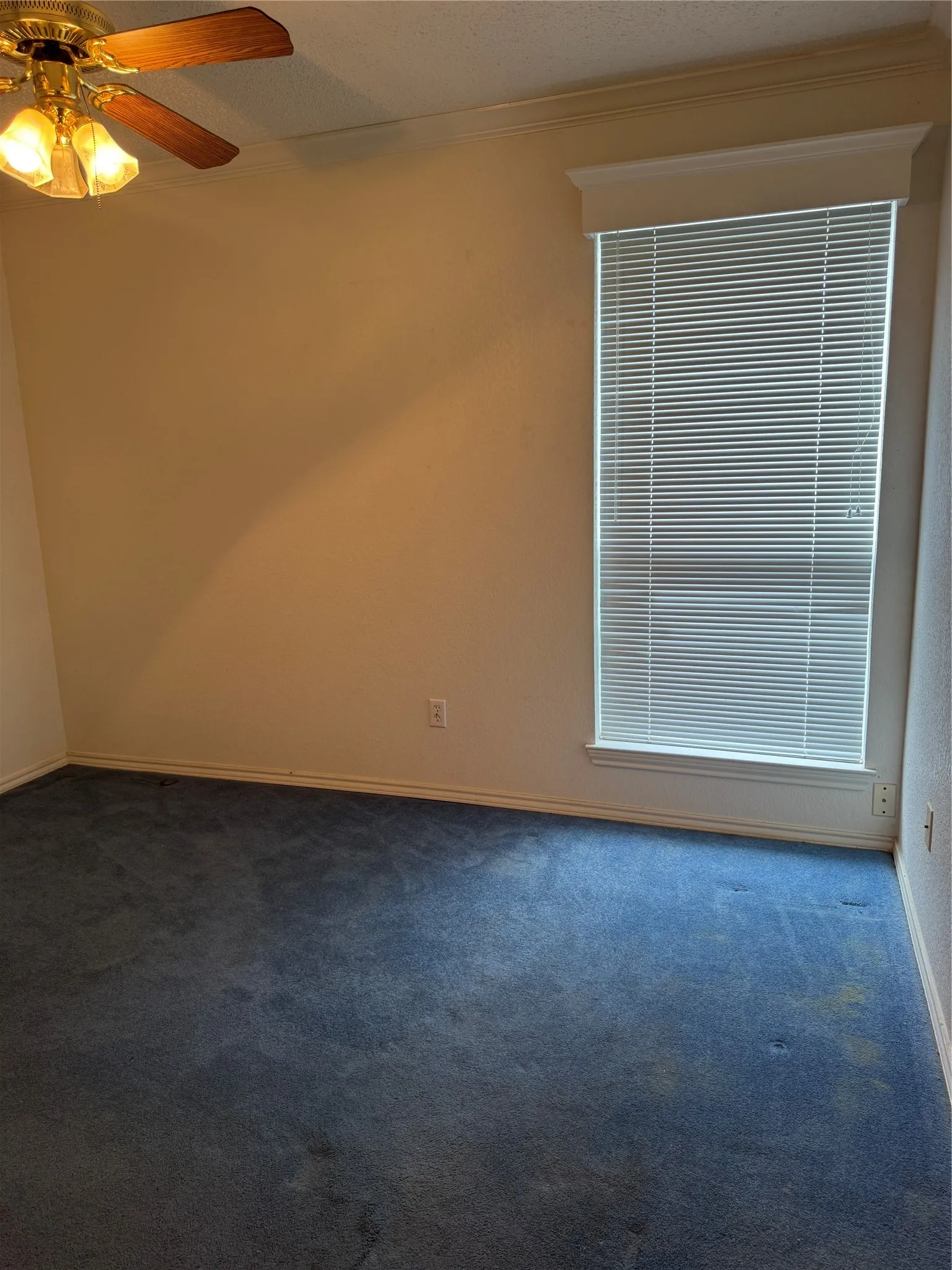 Single Family Residence For Sale in Tarrant County , 7309 Nohl Ranch Road, Fort Worth, Texas 76133, 3 Bedroom, 2 Bathroom, 2 Garage spaces, 1,903 Sqft, built in 1998, mls#21363524, Real Estate Agent in Fort Worth, Homes For Sale in Tarrant county, Homes For Sale in Fort Worth, Realtor in Fort Worth Texas, Real Estate Brokerage Independent Realty Texas, Luminita Cordes Realtor