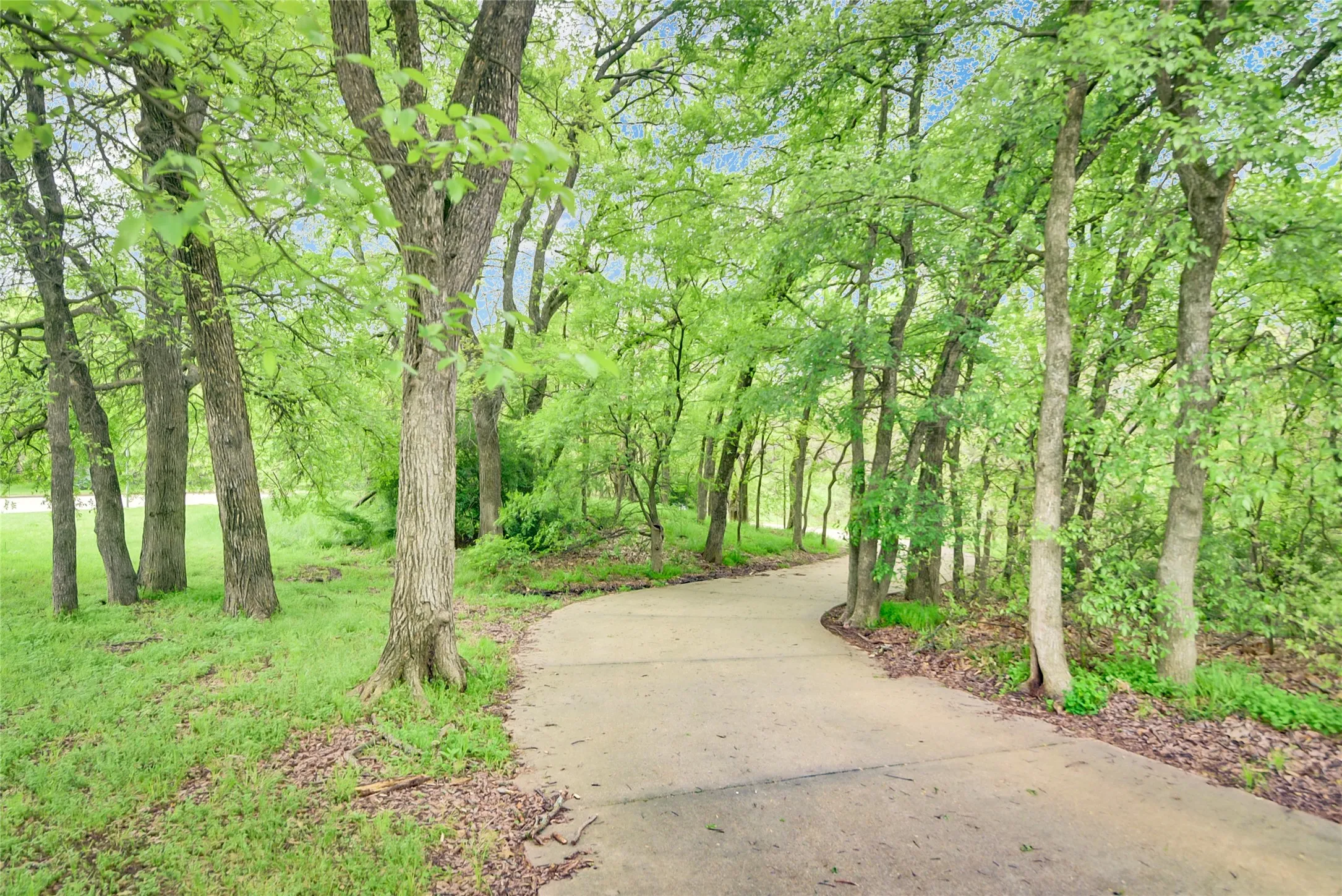 walking trail