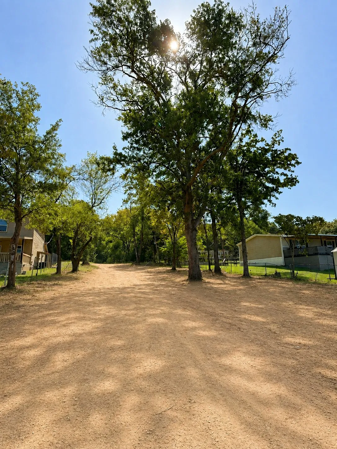 Expansive unpaved lot with established trees