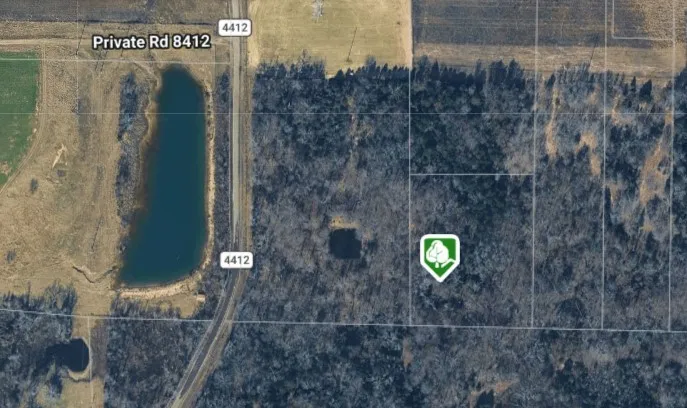 Unimproved Land For Sale in Van Zandt County , 270 VZ County Road 4419, Ben Wheeler, Texas 75754, 0, 0, Garage spaces, 0 Sqft, built in 0, Price $75,000, mls#21352581, Real Estate Agent in Ben Wheeler, Homes For Sale in Van Zandt county, Homes For Sale in Ben Wheeler, Realtor in Ben Wheeler Texas, Real Estate Brokerage Independent Realty Texas, Luminita Cordes Realtor