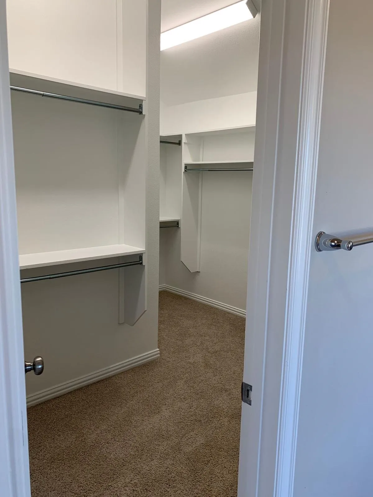 Walk-in closet with ample storage, built-in shelving, chrome hanging rods, and neutral-toned carpet