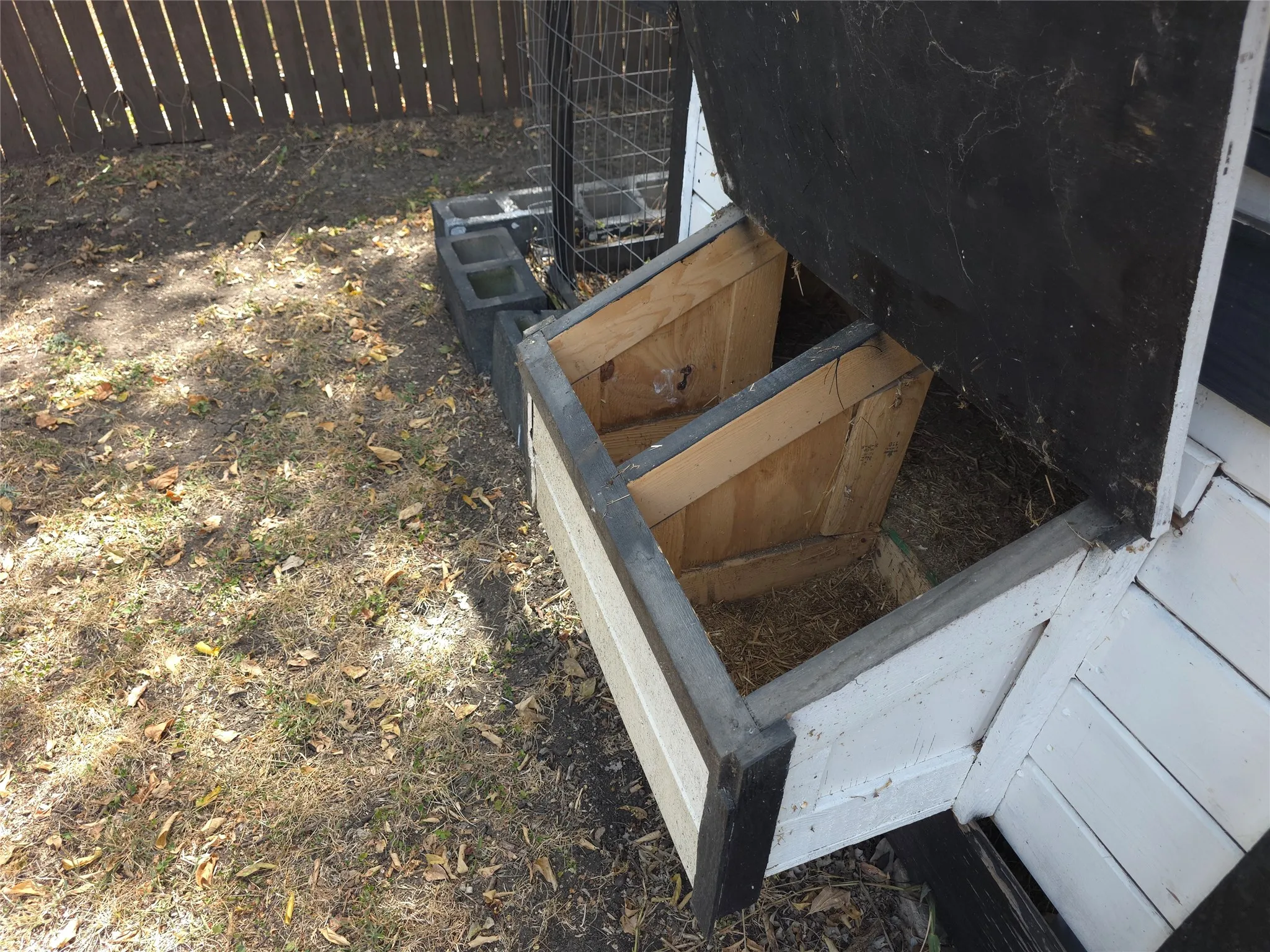 Nesting boxes to collect fresh eggs