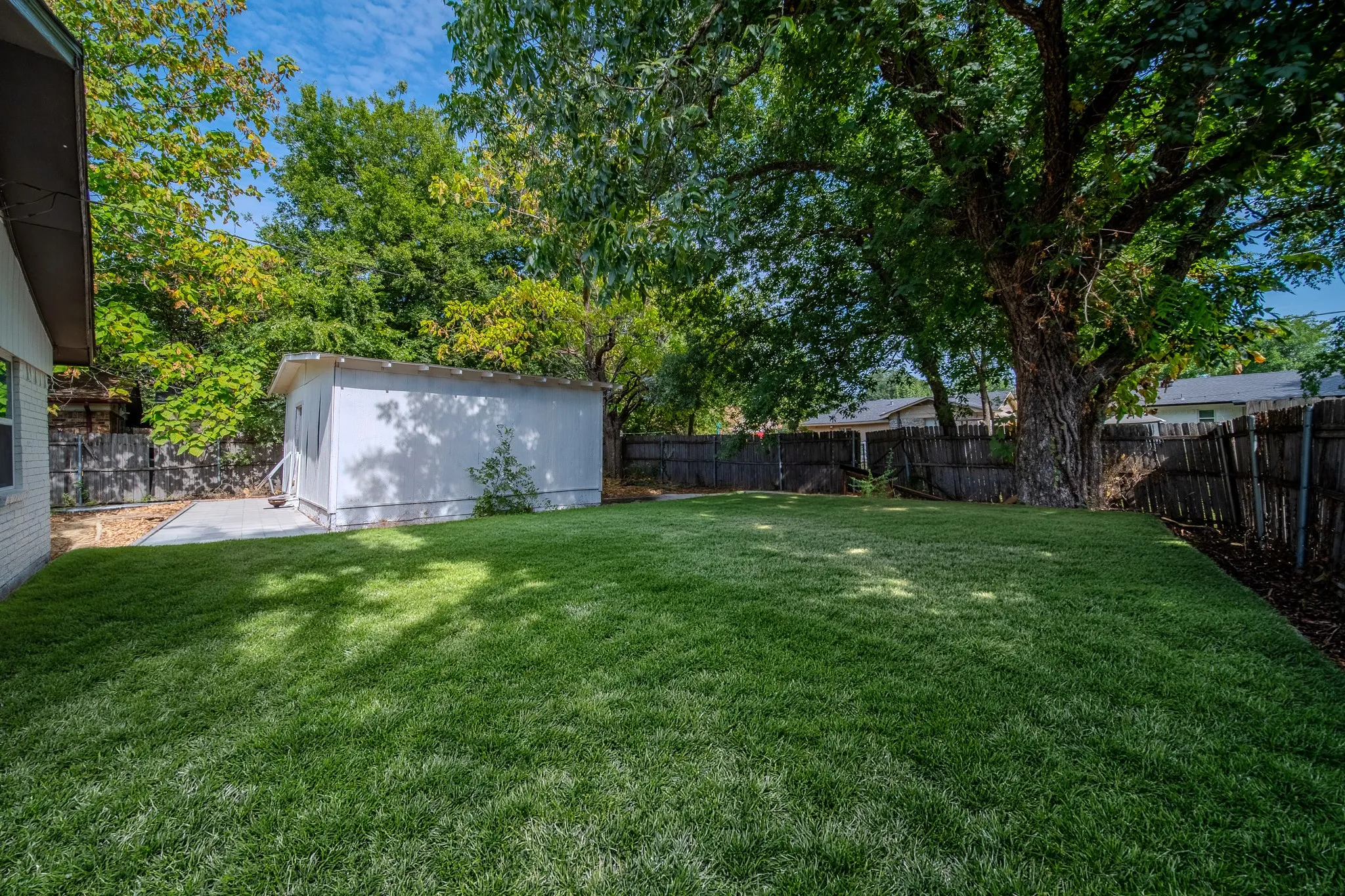 Expansive grassy lawn with a large mature tree, a privacy fence, and a white storage shed with an adjacent concrete pad