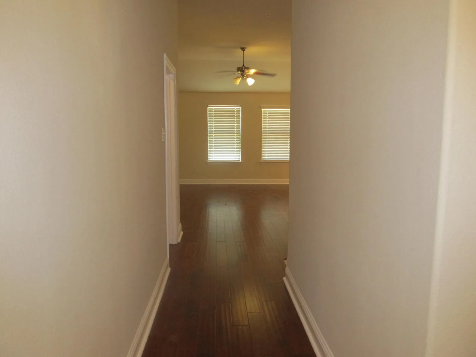 Entry Looking into Living Area
