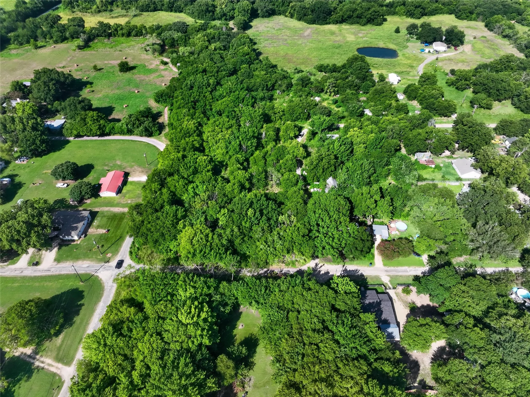 Expansive treed property with a natural pond and surrounding green spaces