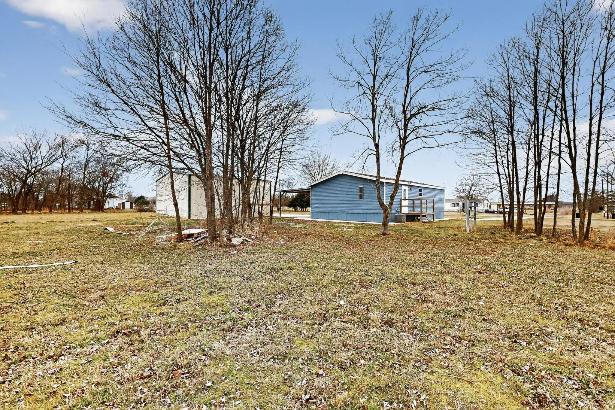 View of grassy yard