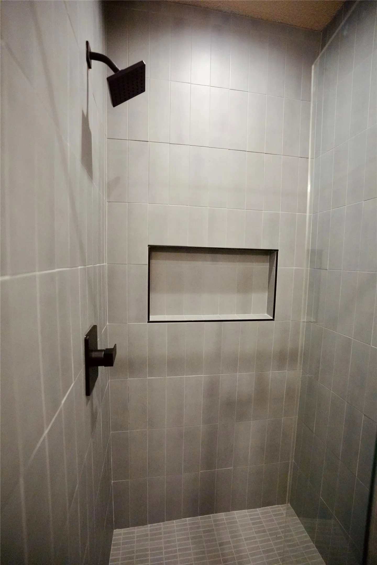 Primary Shower