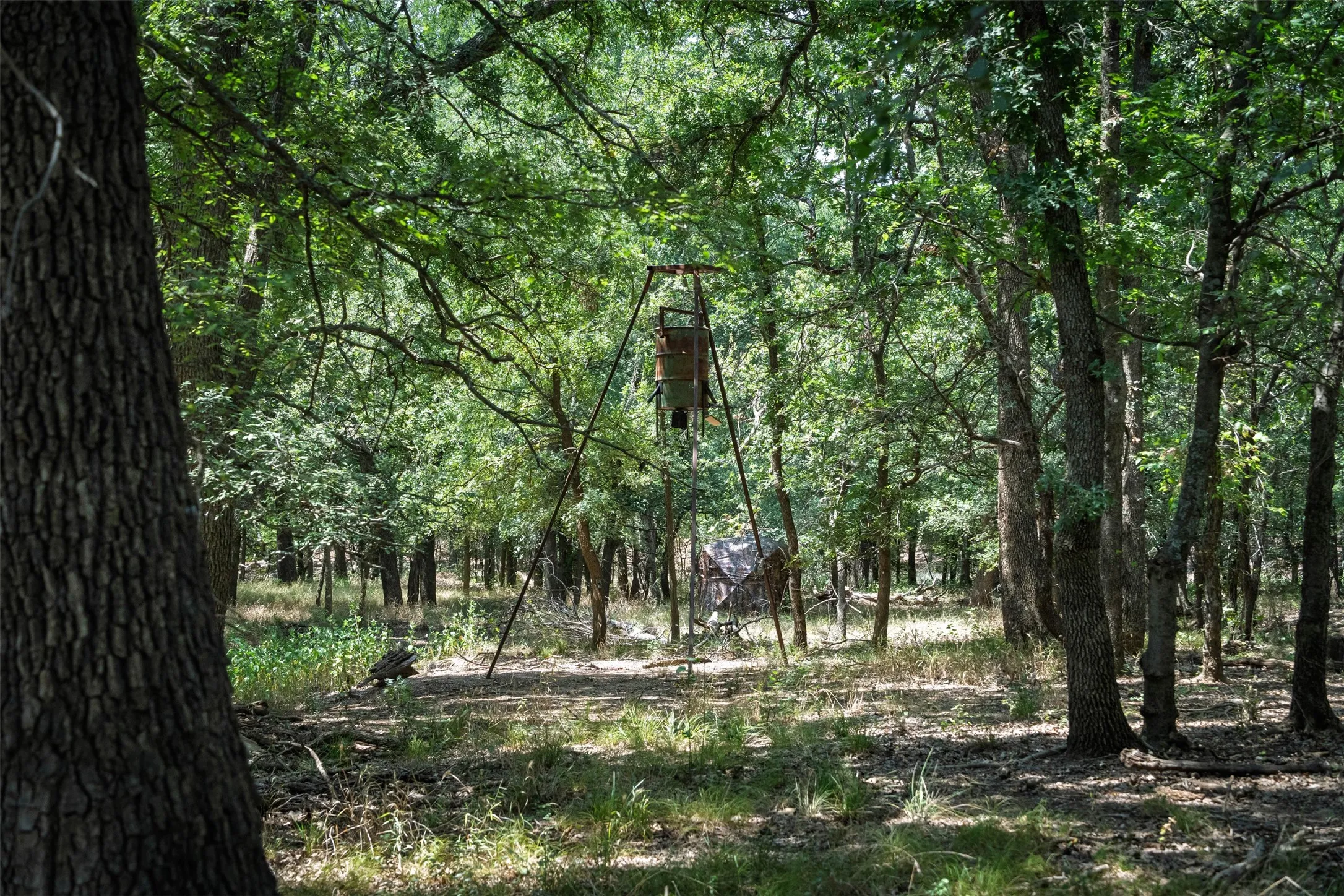 Single Family Residence For Sale in Young County , 400 Pumphrey Road, Loving, Texas 76460, 4 Bedroom, 3 Bathroom, Garage spaces, 3,536 Sqft, built in 2009, Price $1,900,000, mls#21359633, Real Estate Agent in Loving, Homes For Sale in Young county, Homes For Sale in Loving, Realtor in Loving Texas, Real Estate Brokerage Independent Realty Texas, Luminita Cordes Realtor