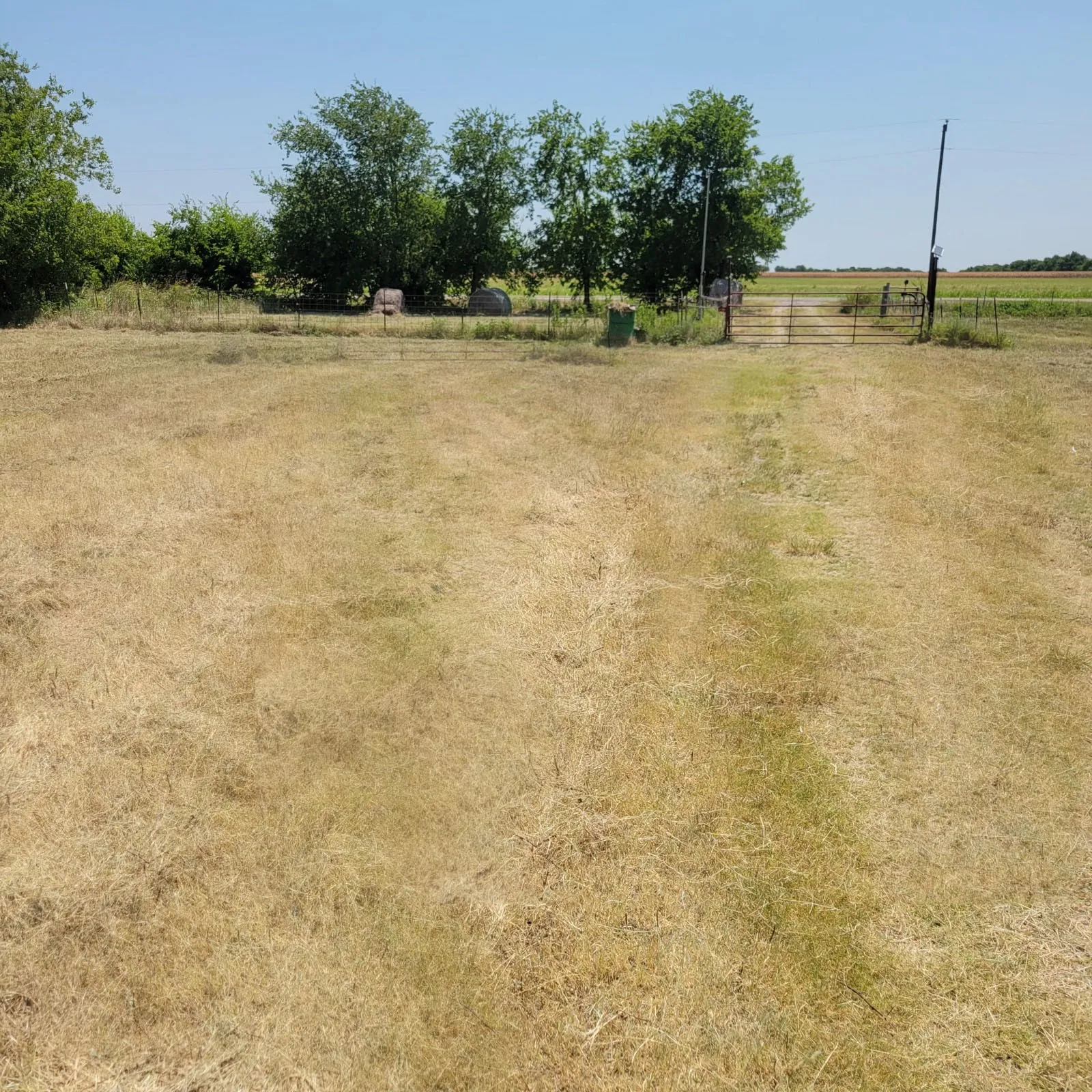 Improved Land For Sale in Fannin County , 9730 S Hwy 78, Leonard, Texas 75452, 0, 0, Garage spaces, 0 Sqft, built in 0, mls#21351029, Real Estate Agent in Leonard, Homes For Sale in Fannin county, Homes For Sale in Leonard, Realtor in Leonard Texas, Real Estate Brokerage Independent Realty Texas, Luminita Cordes Realtor