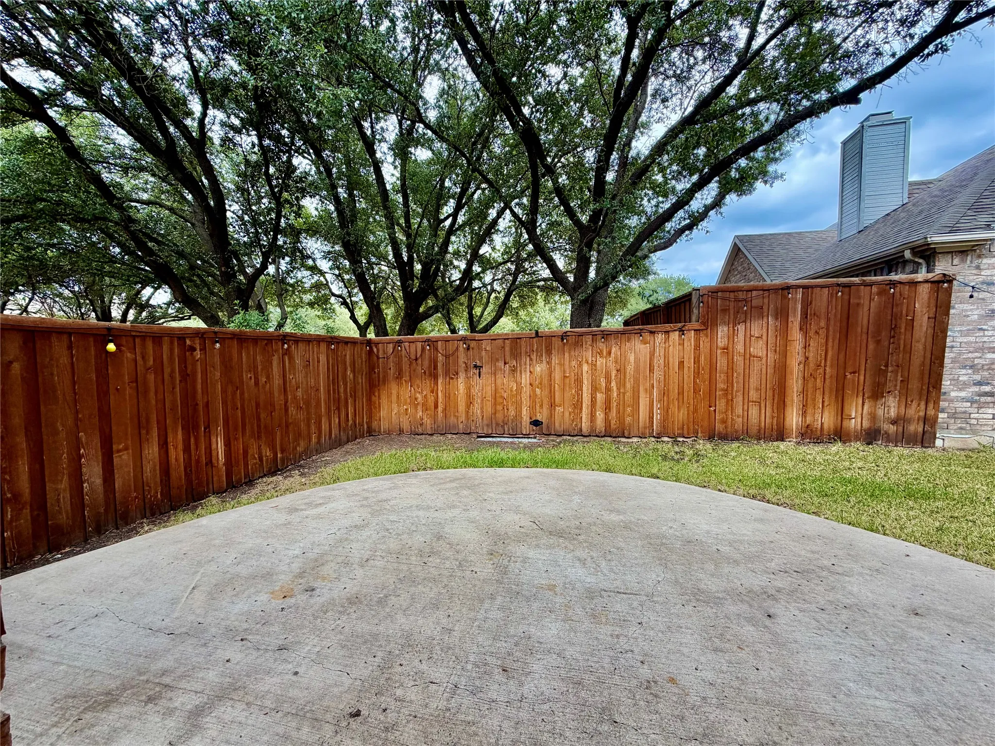 Back yard
