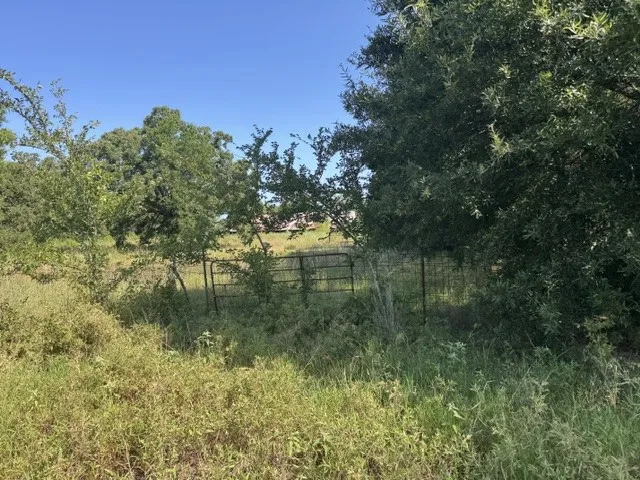 Unimproved Land For Sale in Rains County , TBD County Rd. 1300, Emory, Texas 75440, 0, 0, Garage spaces, 0 Sqft, built in 0, Price $454,240, mls#21362625, Real Estate Agent in Emory, Homes For Sale in Rains county, Homes For Sale in Emory, Realtor in Emory Texas, Real Estate Brokerage Independent Realty Texas, Luminita Cordes Realtor