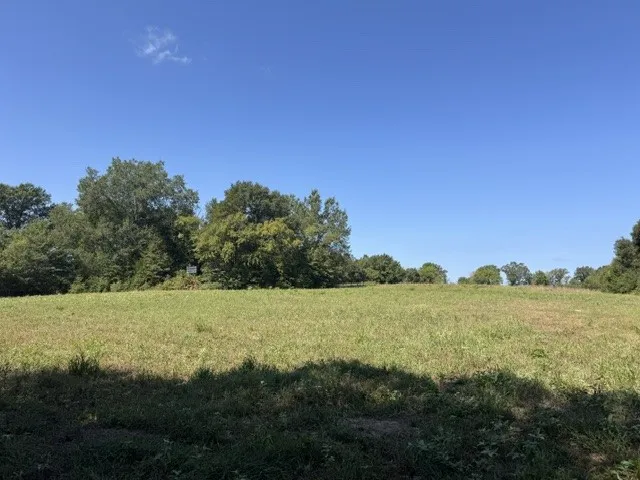 Unimproved Land For Sale in Rains County , TBD County Rd. 1300, Emory, Texas 75440, 0, 0, Garage spaces, 0 Sqft, built in 0, Price $454,240, mls#21362625, Real Estate Agent in Emory, Homes For Sale in Rains county, Homes For Sale in Emory, Realtor in Emory Texas, Real Estate Brokerage Independent Realty Texas, Luminita Cordes Realtor