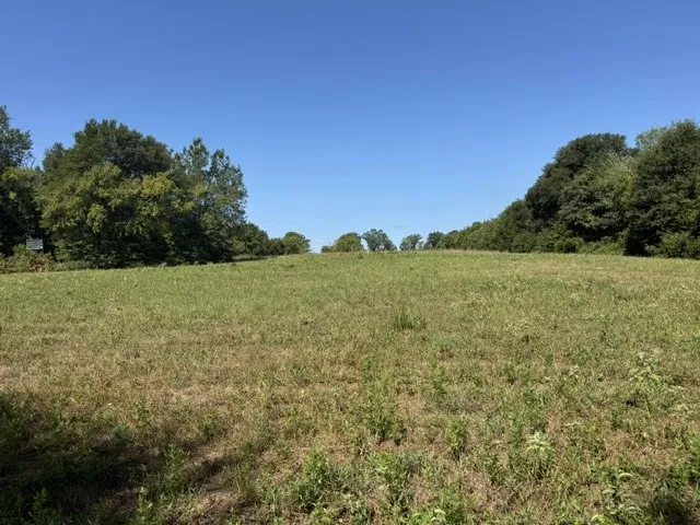 Expansive pastoral setting with open acreage, mature tree lines bordering the perimeter, and clear blue skies overhead
