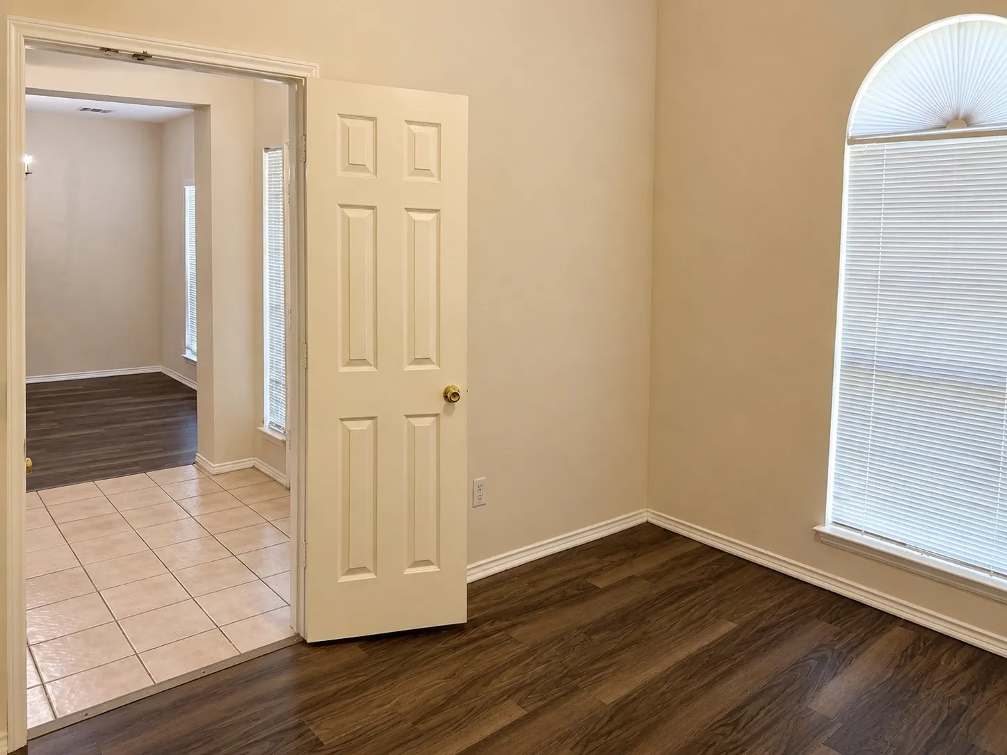 Wood-finish flooring with white baseboards, arched window with horizontal blinds, and a paneled door