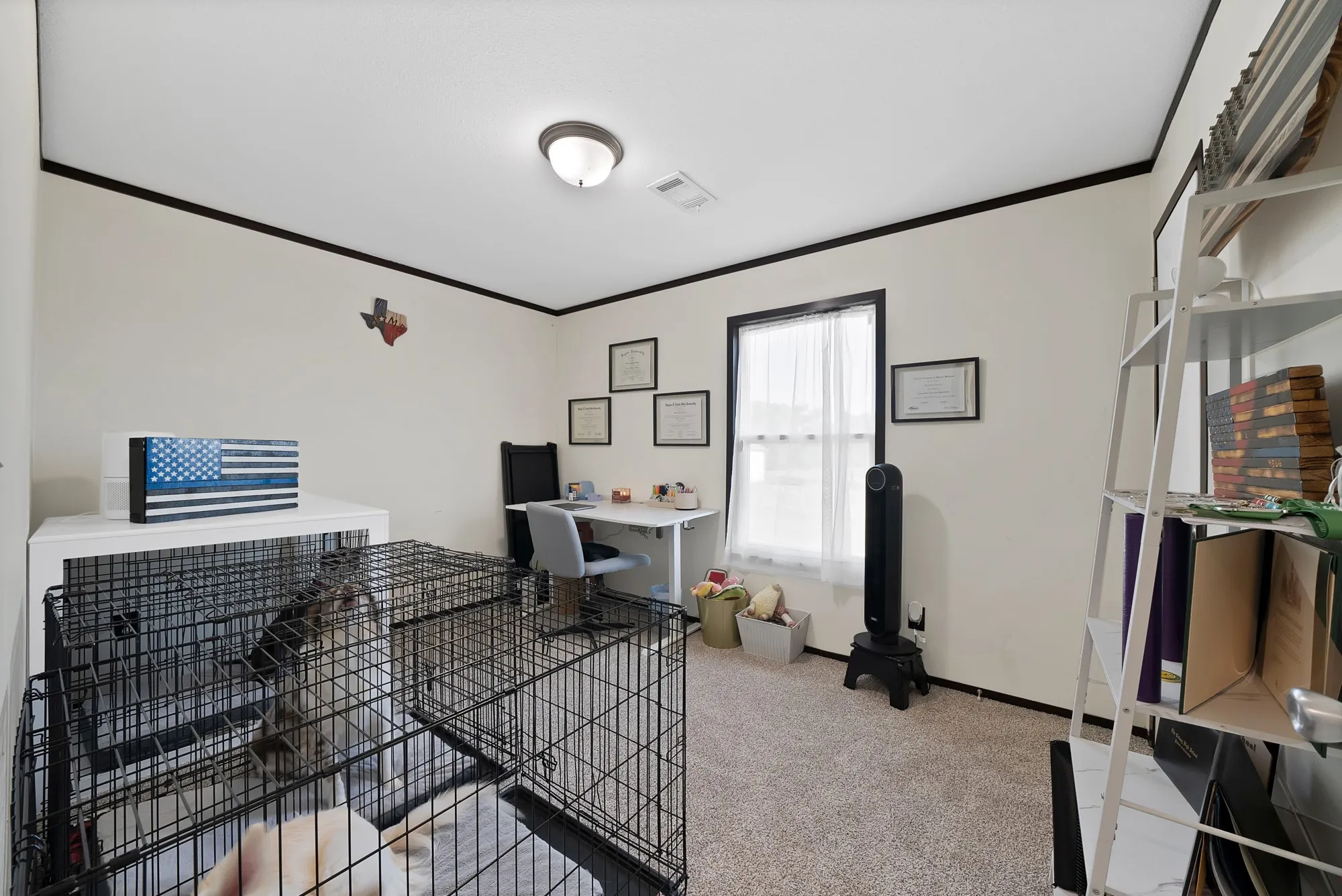 Carpeted interior space with a window featuring white sheers, a flush-mount ceiling light fixture, and black trim detailing
