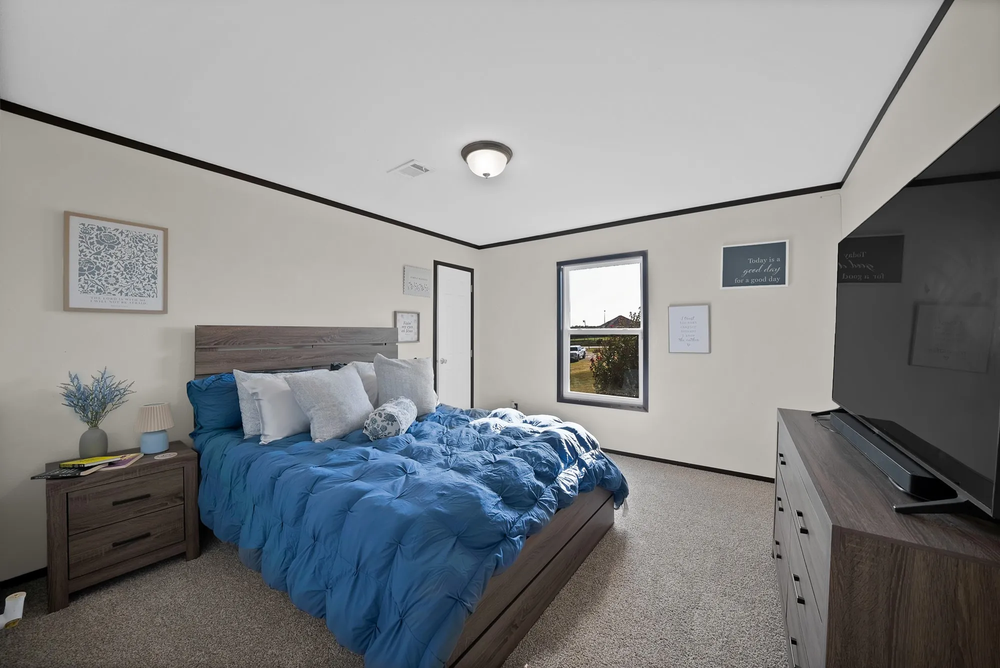 Neutral wall color, dark trim accents, ceiling-mounted light fixture, window with exterior landscape, light-toned carpet flooring