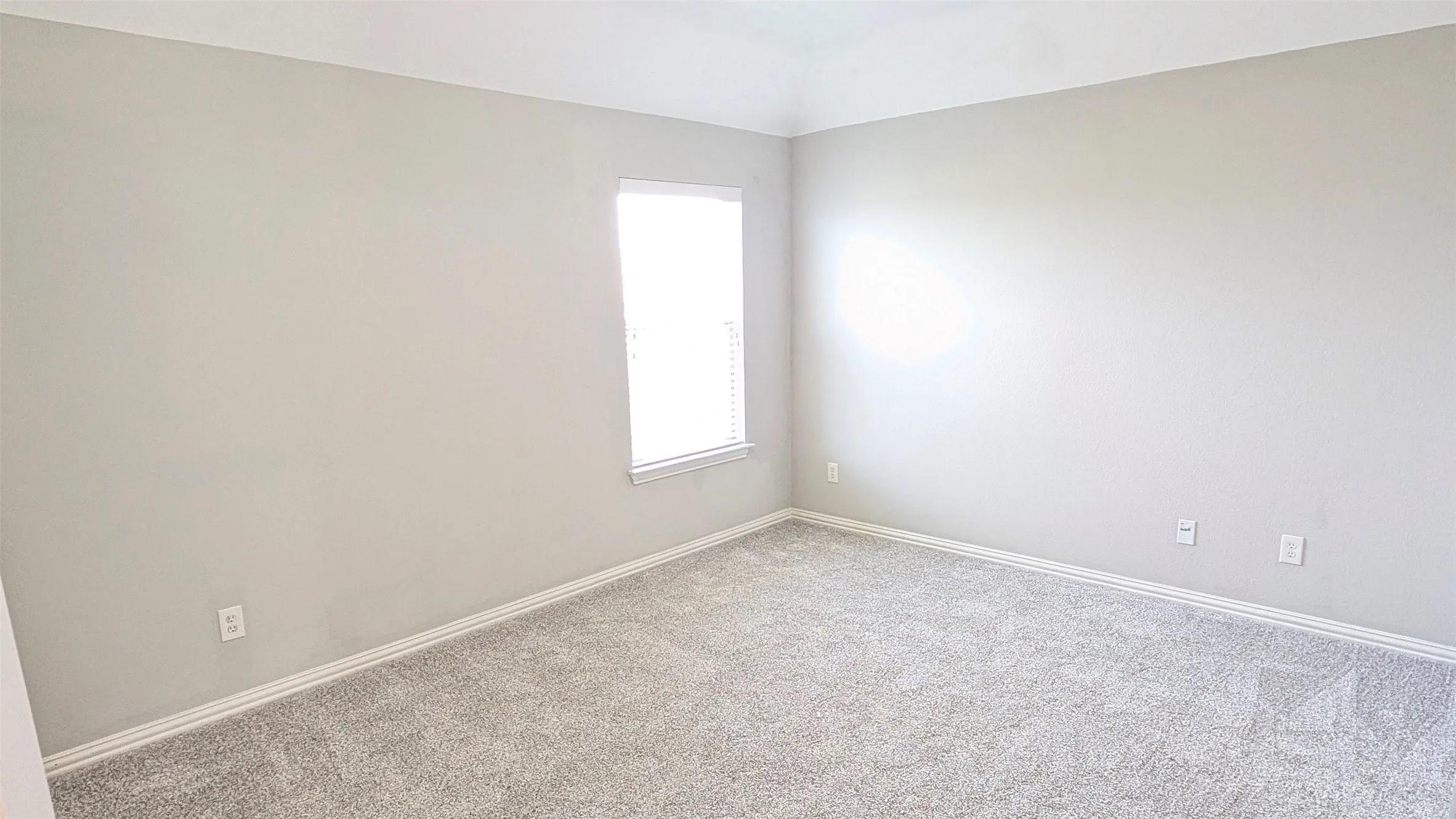 Light gray wall finish, white trim, grey patterned carpeting, and a single window with blinds