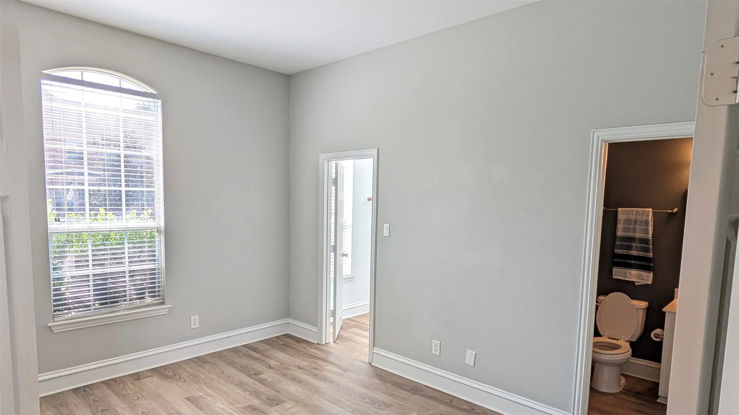 Wood-finish flooring, tall ceiling, arched window, white trim