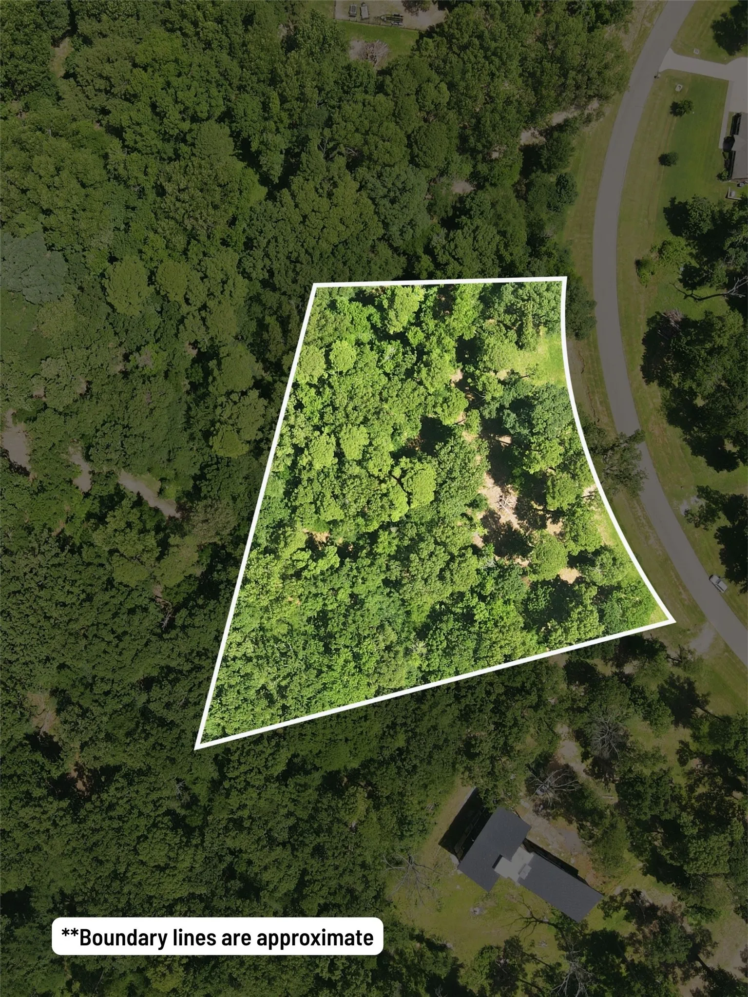 Unimproved Land For Sale in Franklin (TX) County , Lot 44 Sterling Shores Drive, Scroggins, Texas 75480, 0, 0, Garage spaces, 0 Sqft, built in 0, mls#21275960, Real Estate Agent in Scroggins, Homes For Sale in Franklin (TX) county, Homes For Sale in Scroggins, Realtor in Scroggins Texas, Real Estate Brokerage Independent Realty Texas, Luminita Cordes Realtor
